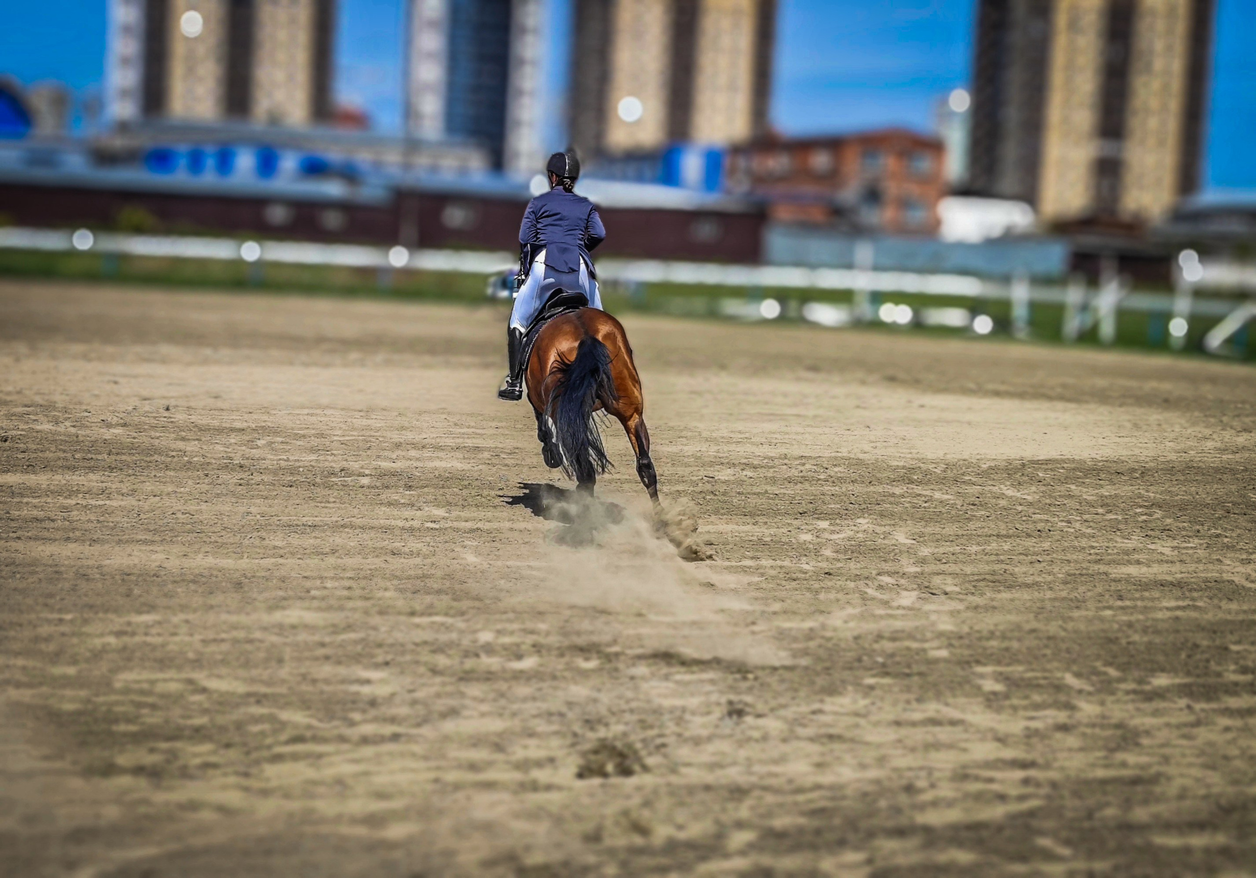 Красноярский ипподром. Открытие сезона 2025. Игорь Урывский. Фотограф Красноярск