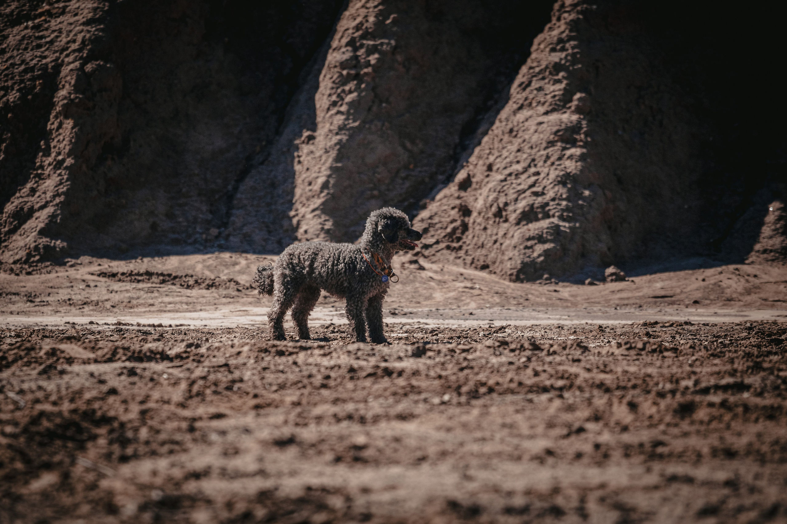 Кондуки. Фотограф-анималист Татьяна Степанова