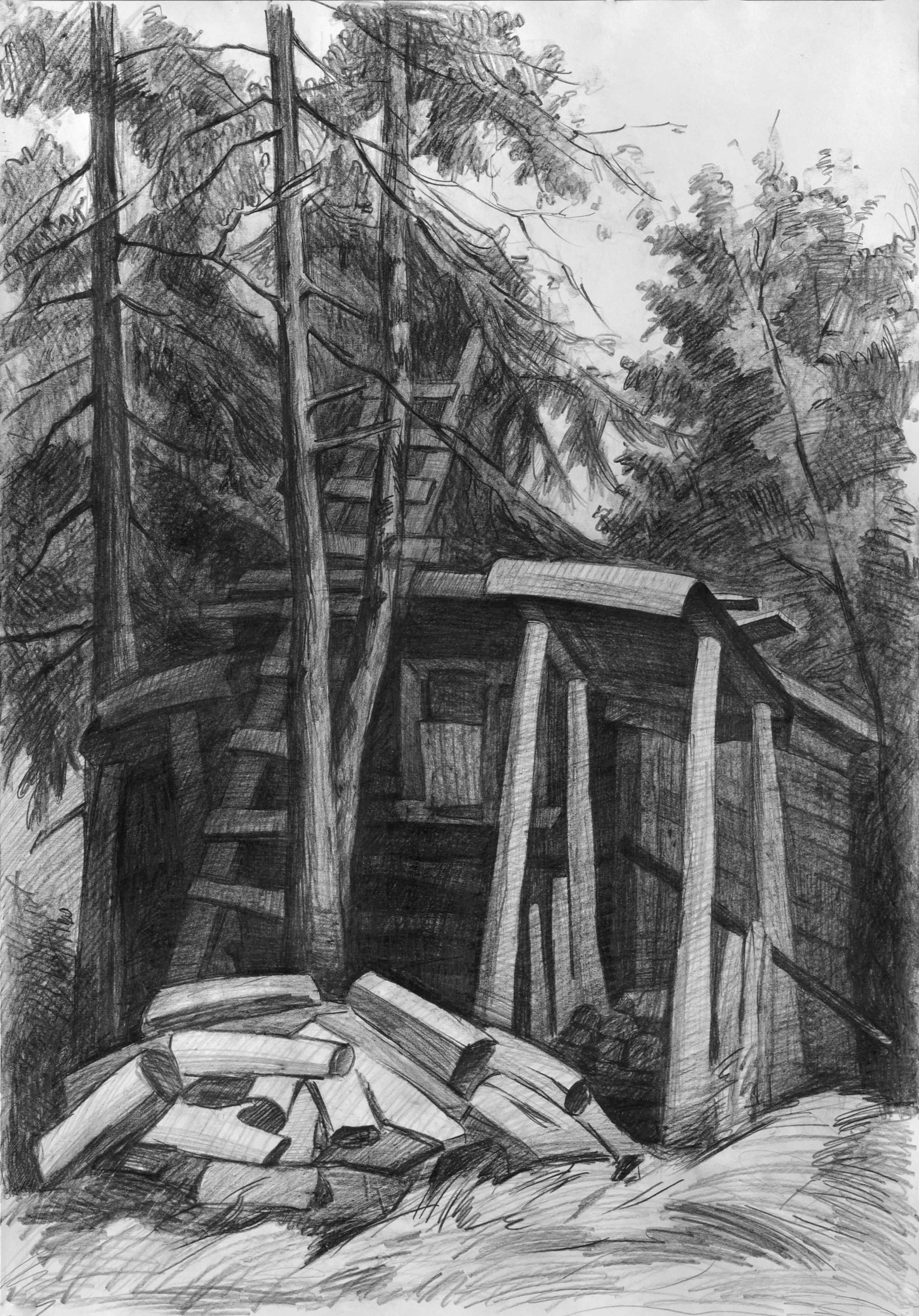 Графика. Ефремова Ольга. Художник