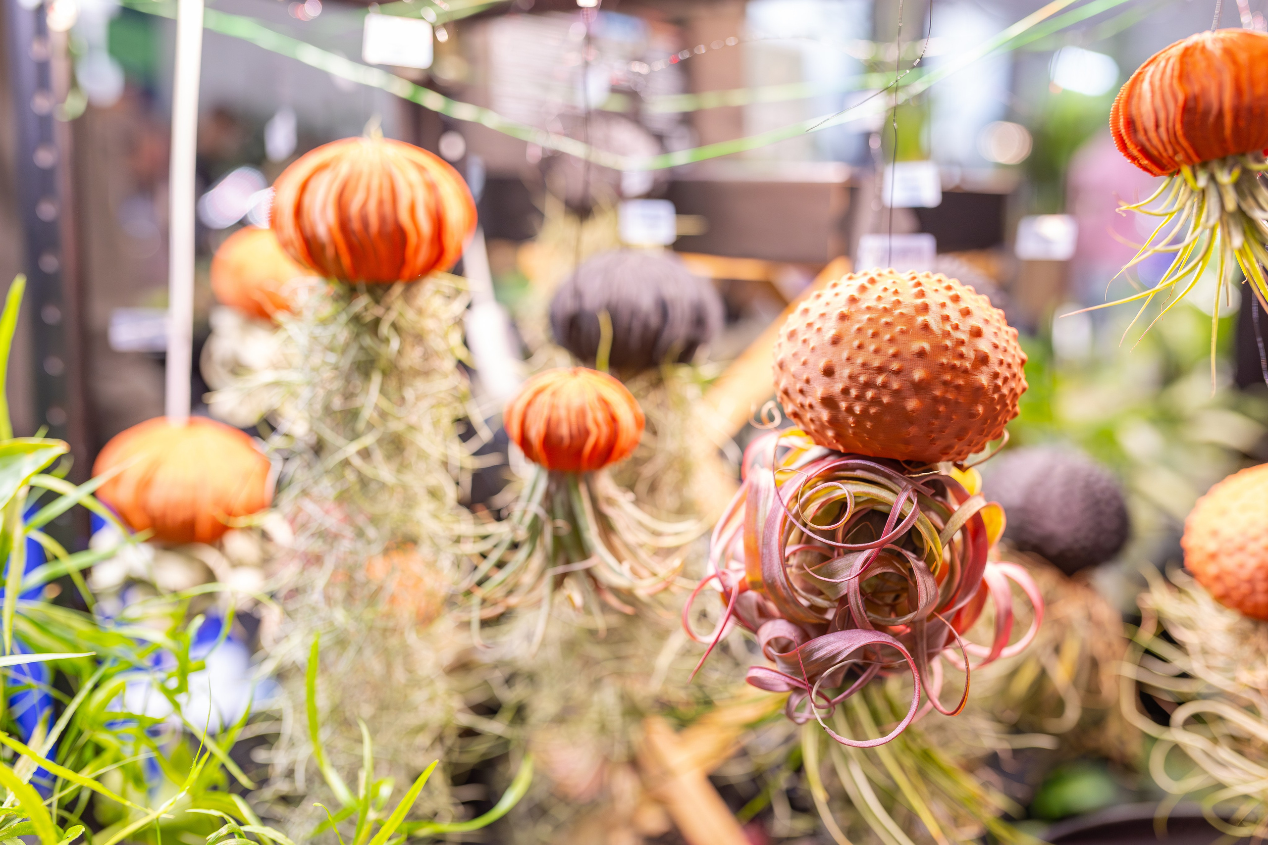 Монстериум 11–12 октября. Александра Куликова фотограф, Москва