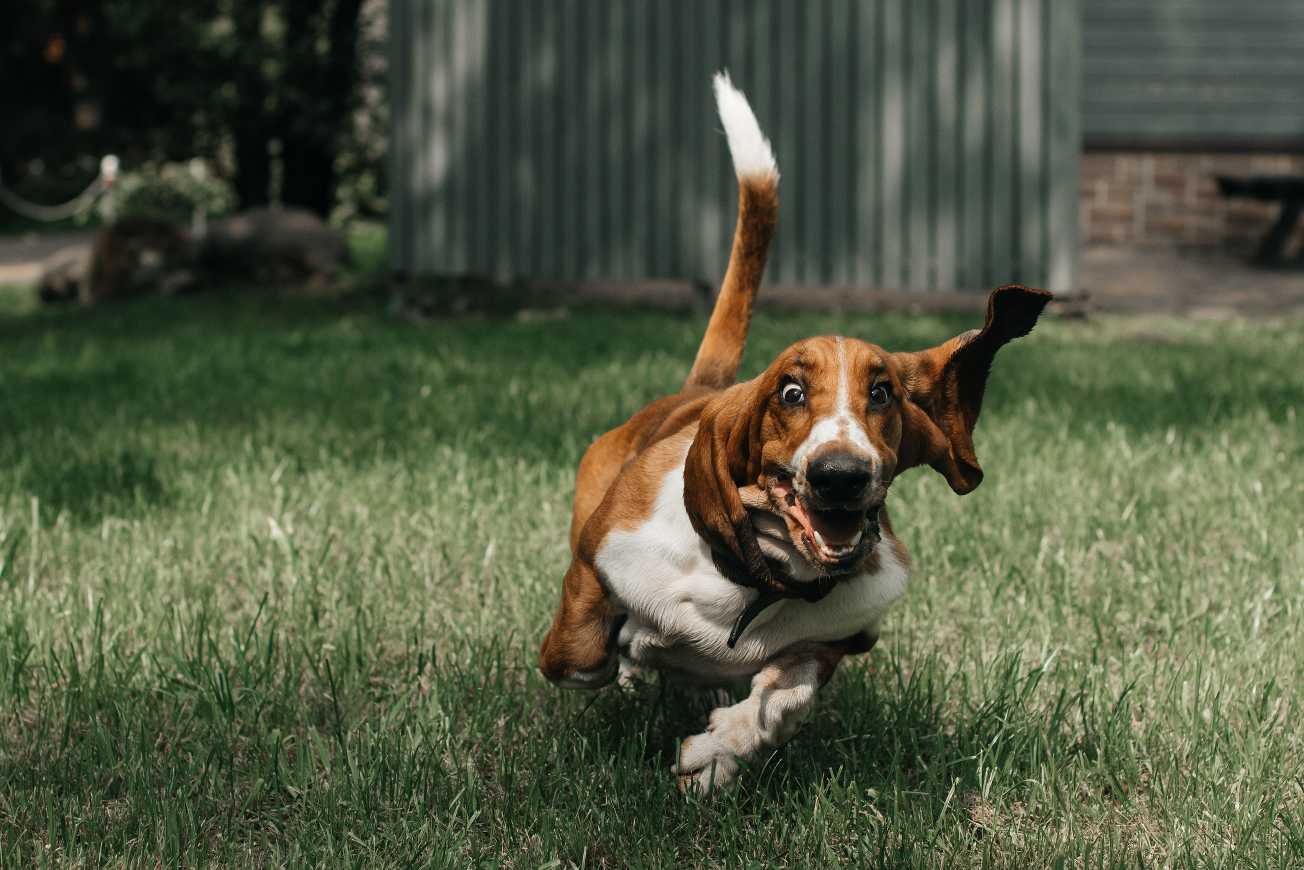 Алина & Владимир. Фотограф Кирилл Ряховский