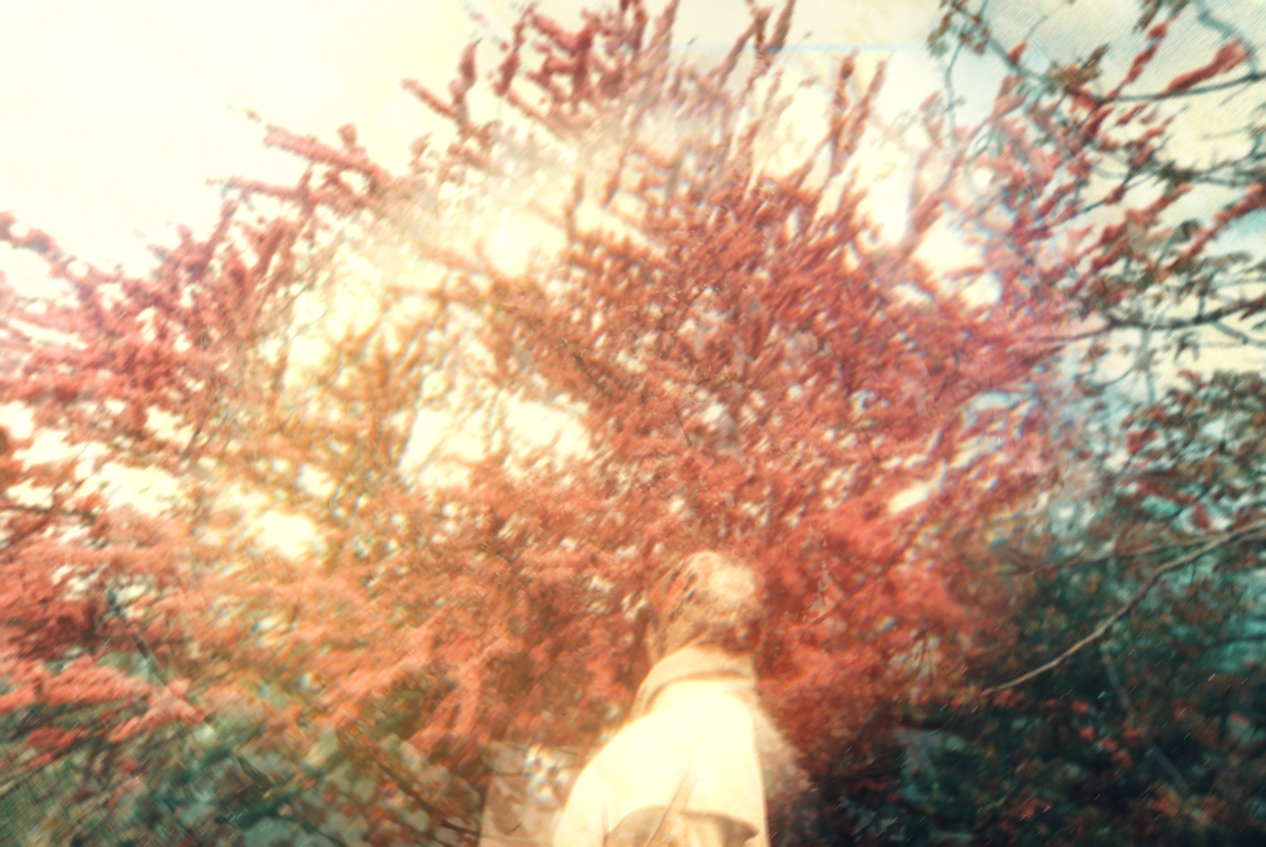 LONG JOURNEY PROJECT. Anna Konushkina — visual artist