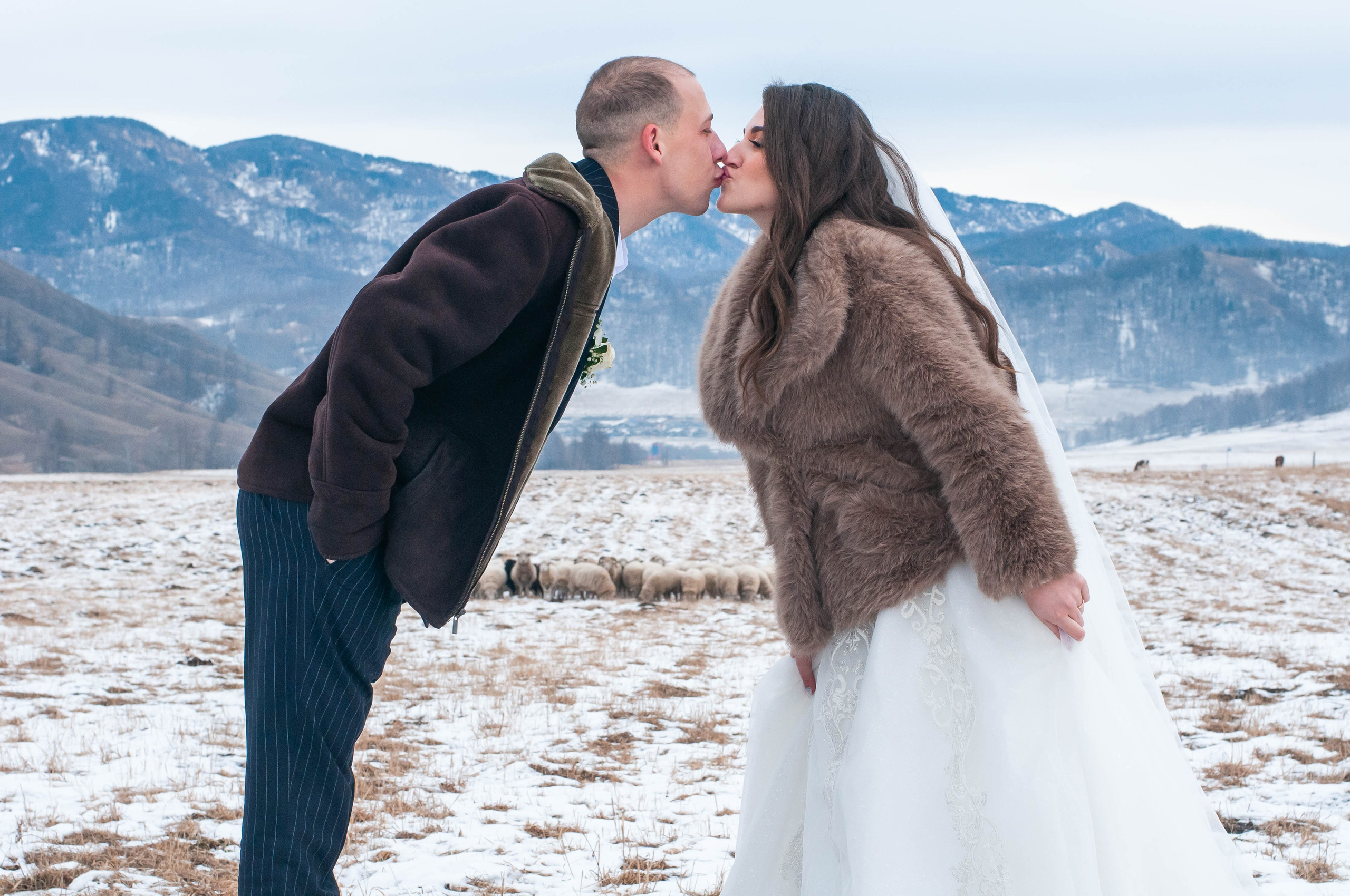 Свадьба. Портретный фотограф в республике Алтай Юлия Шевченко