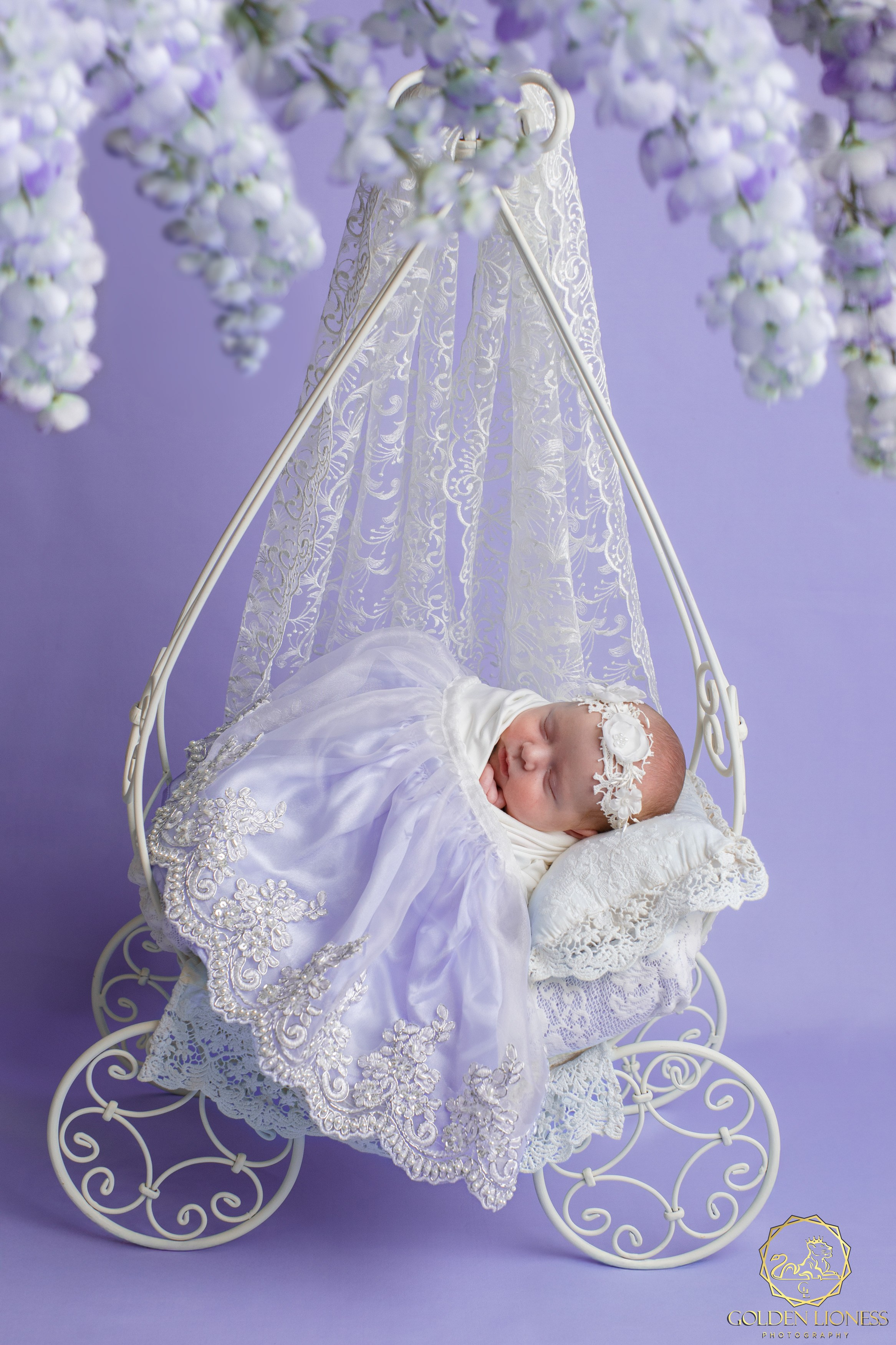 Галерея. GoldenLioness | Фотосессия новорожденных детей (newborn) Москва