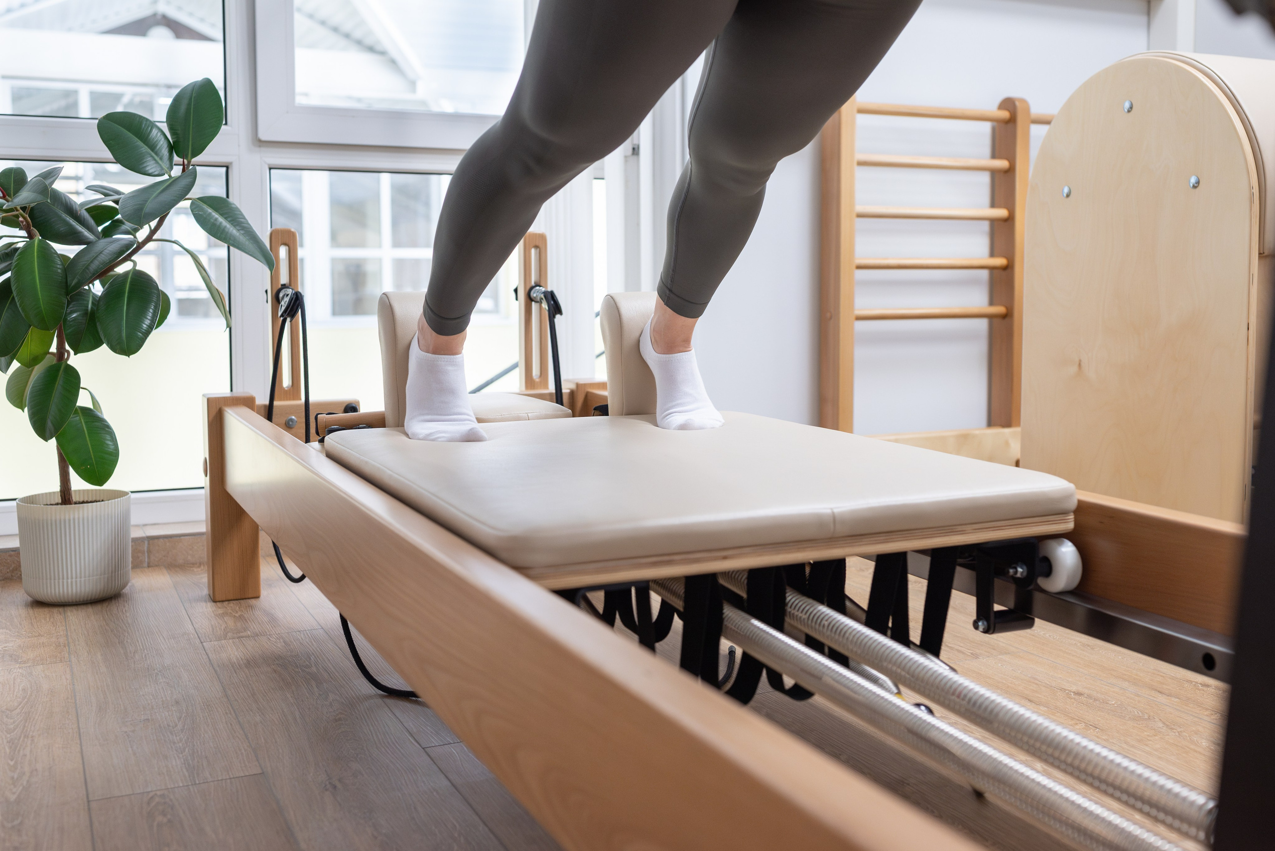 Спортивный комплекс Династия. Светлана Агалакова Фотограф