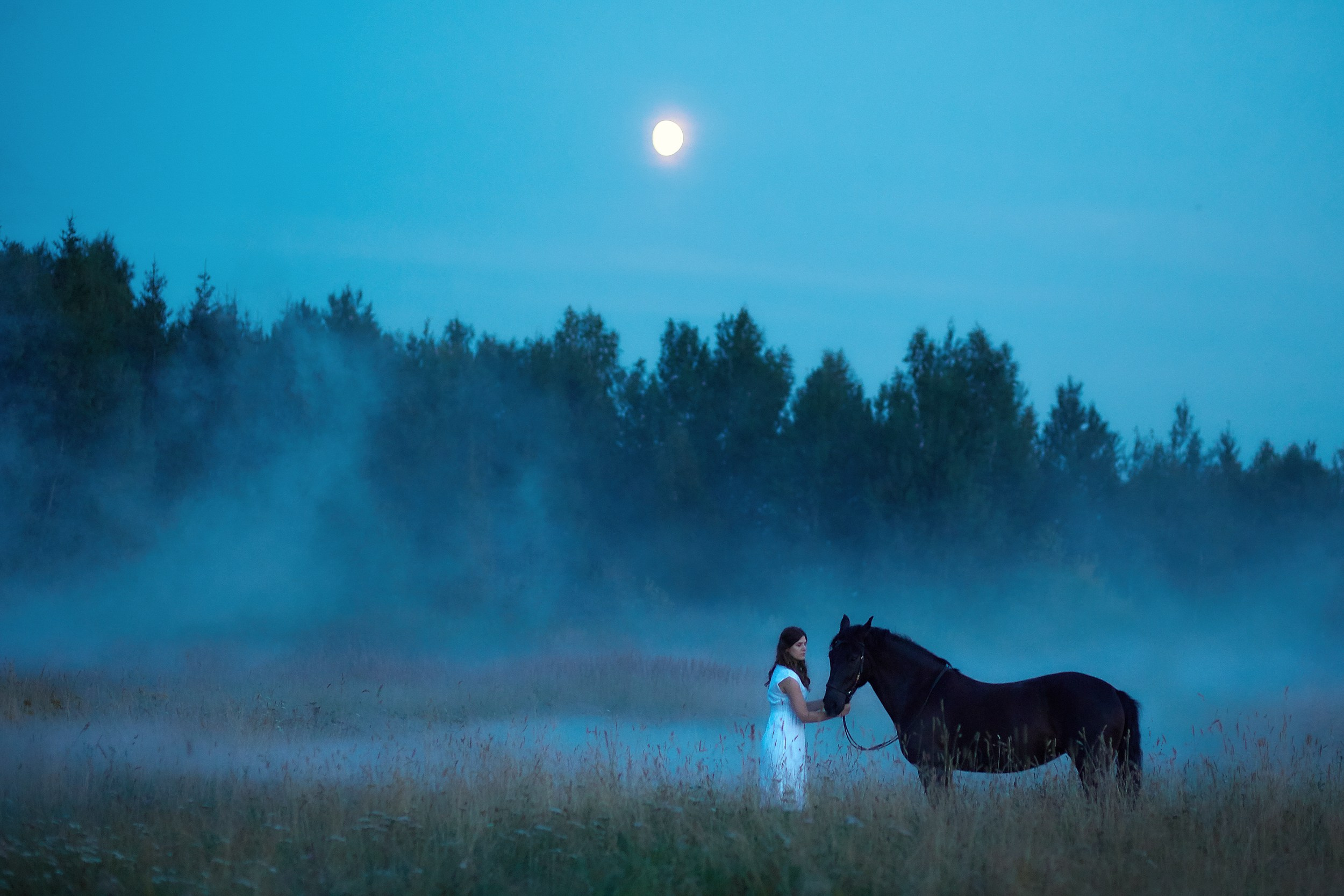 Фотосессия с лошадьми для Ирины. Фотограф Михаил Семенов