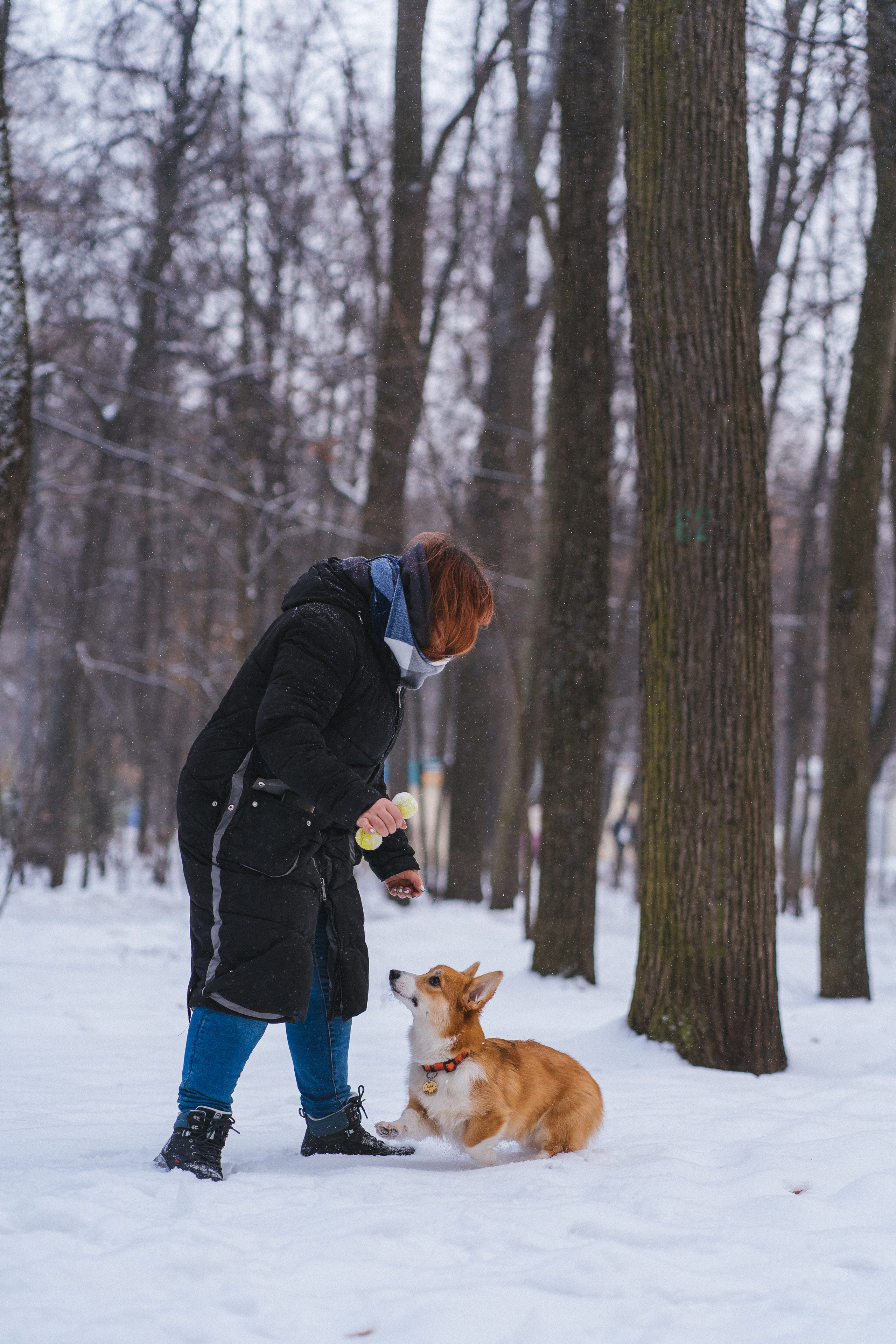 Агата и Лайк. Свадебный фотограф в Москве Анна Полушина