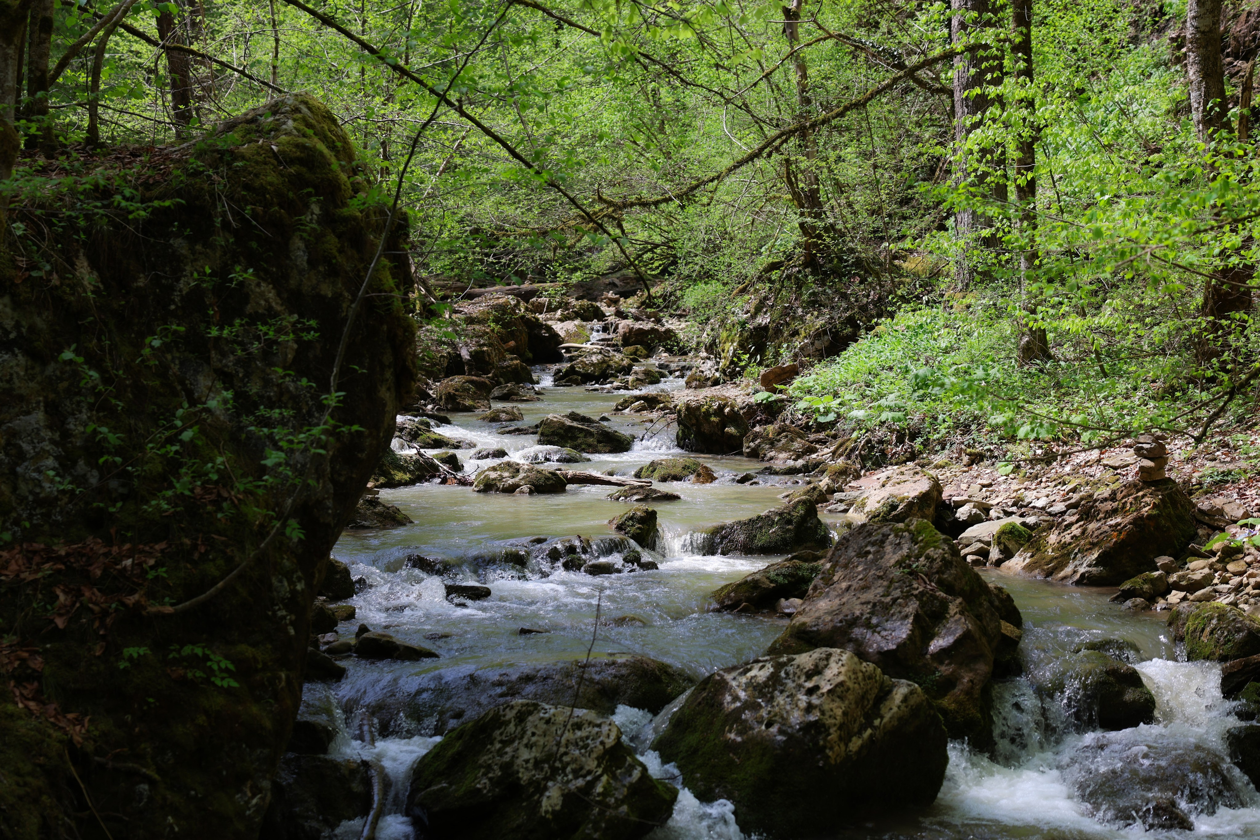 Фотограф Мария Алексеева. Мария Алексеева. Фотограф в Москве