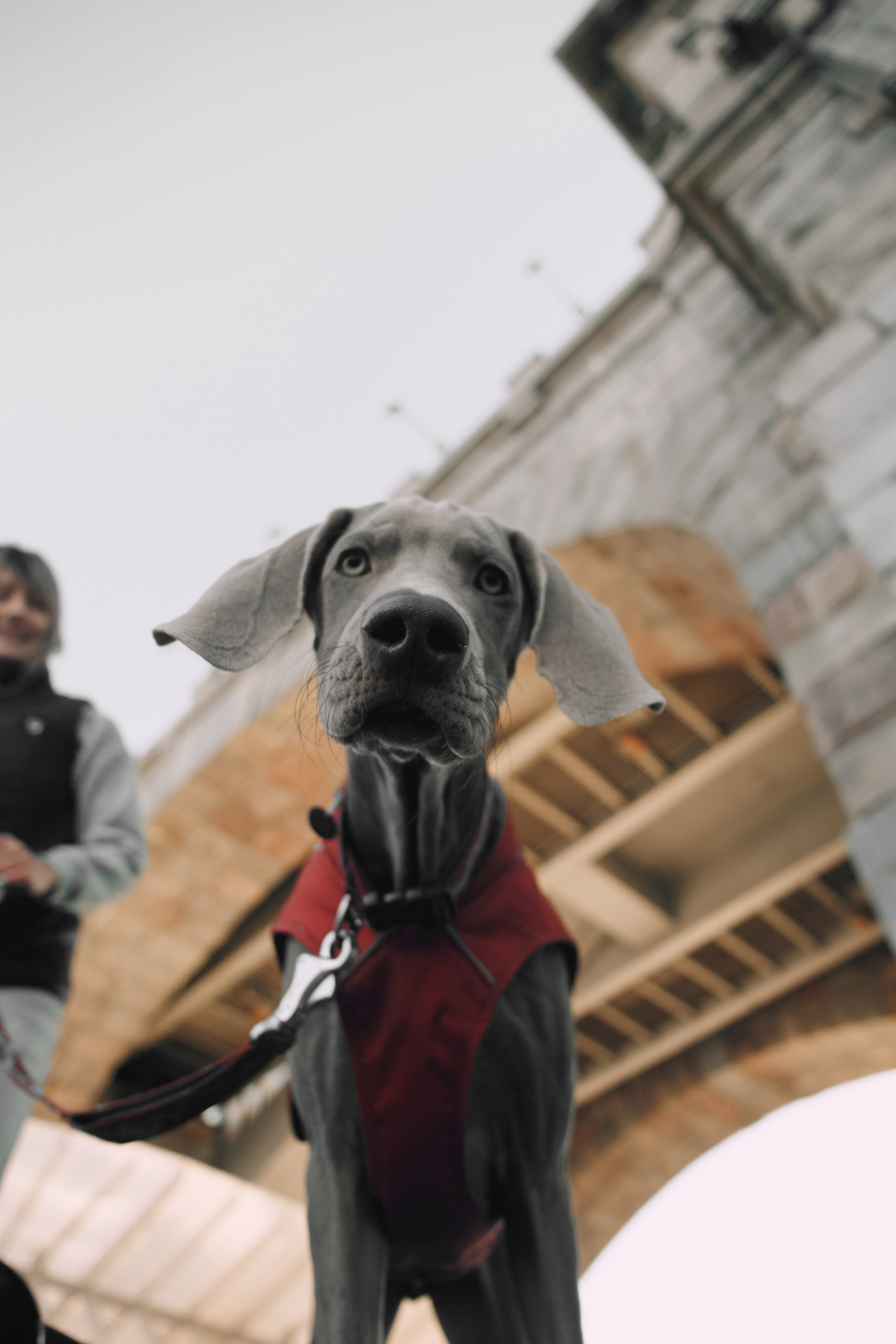 Оля, Саша и Бастиан. Фотограф анималист Кристина Карпова, Москва