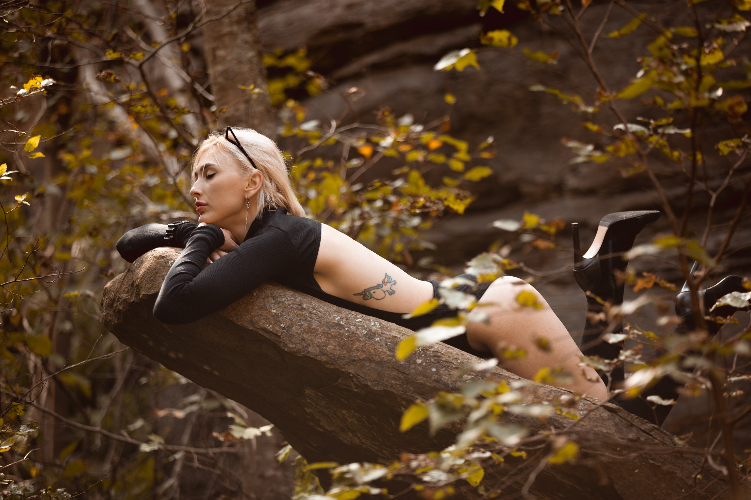 Фотосессии — Кошка на природе 2023 — остров Русский. Твой ламповый фотограф