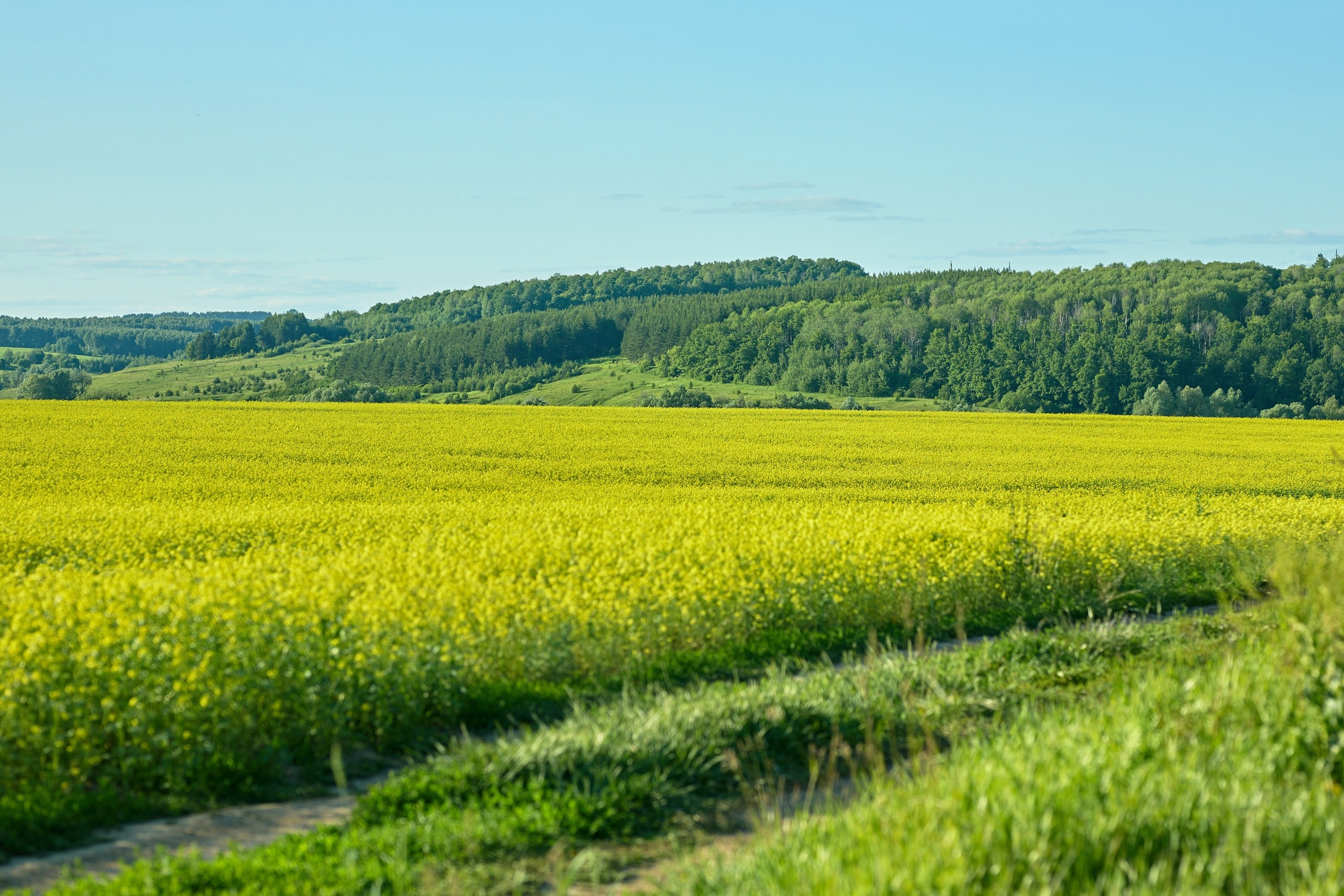 Пейзажная фотосъемка. Владимир Суздалов (ProMaXe) — Портретный фотограф, тематические фотосессии в Чебоксарах