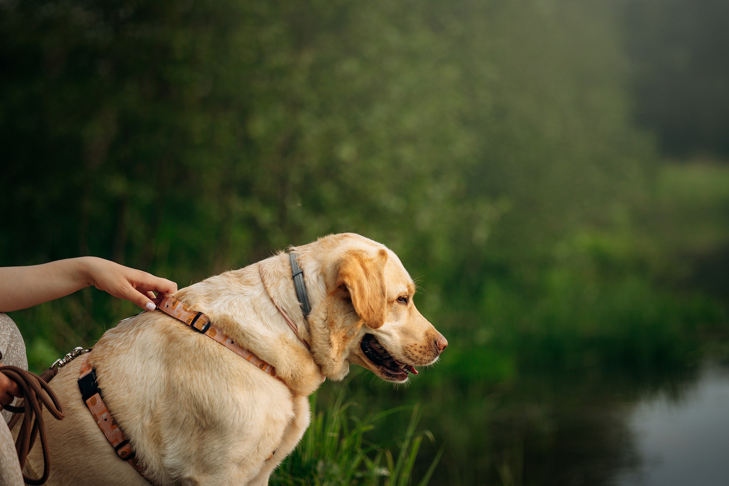 Шани и ее семья. Фотограф — Анималист | Санкт-Петербург