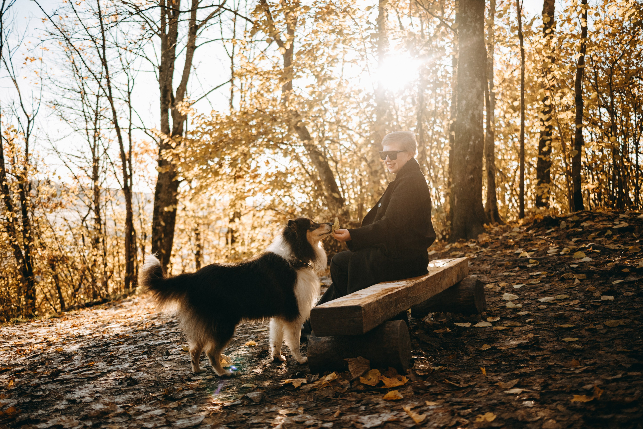 Ия и Барт. Фотограф — Анималист | Санкт-Петербург
