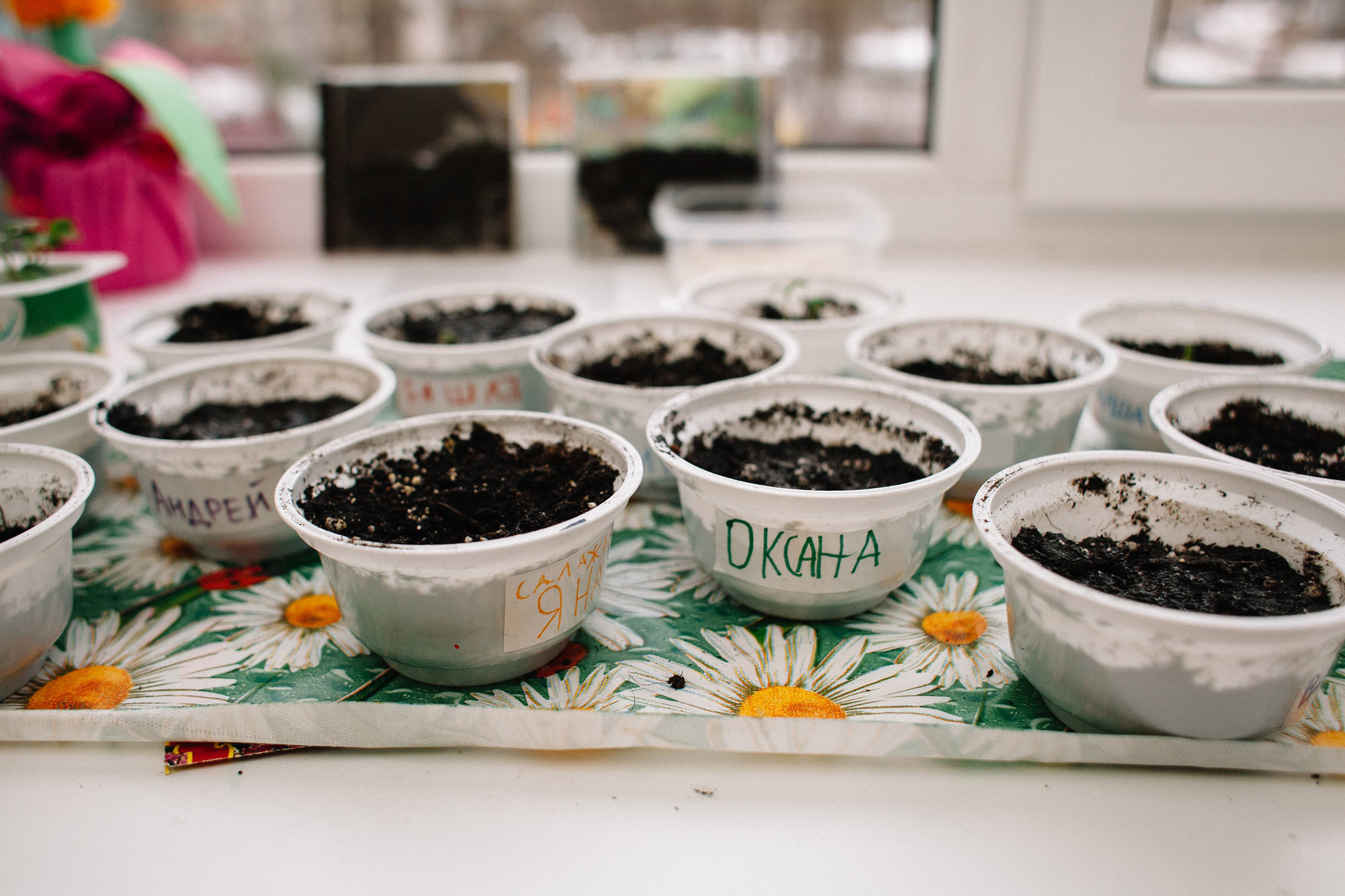 Ивушка. Семейный и свадебный фотограф в Майкопе Михаил Мартиросян