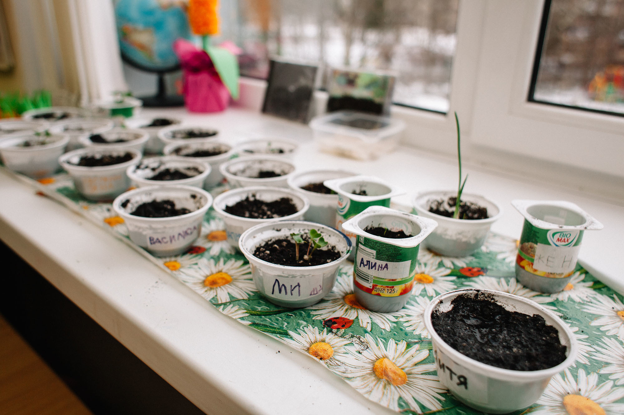 Ивушка. Семейный и свадебный фотограф в Майкопе Михаил Мартиросян