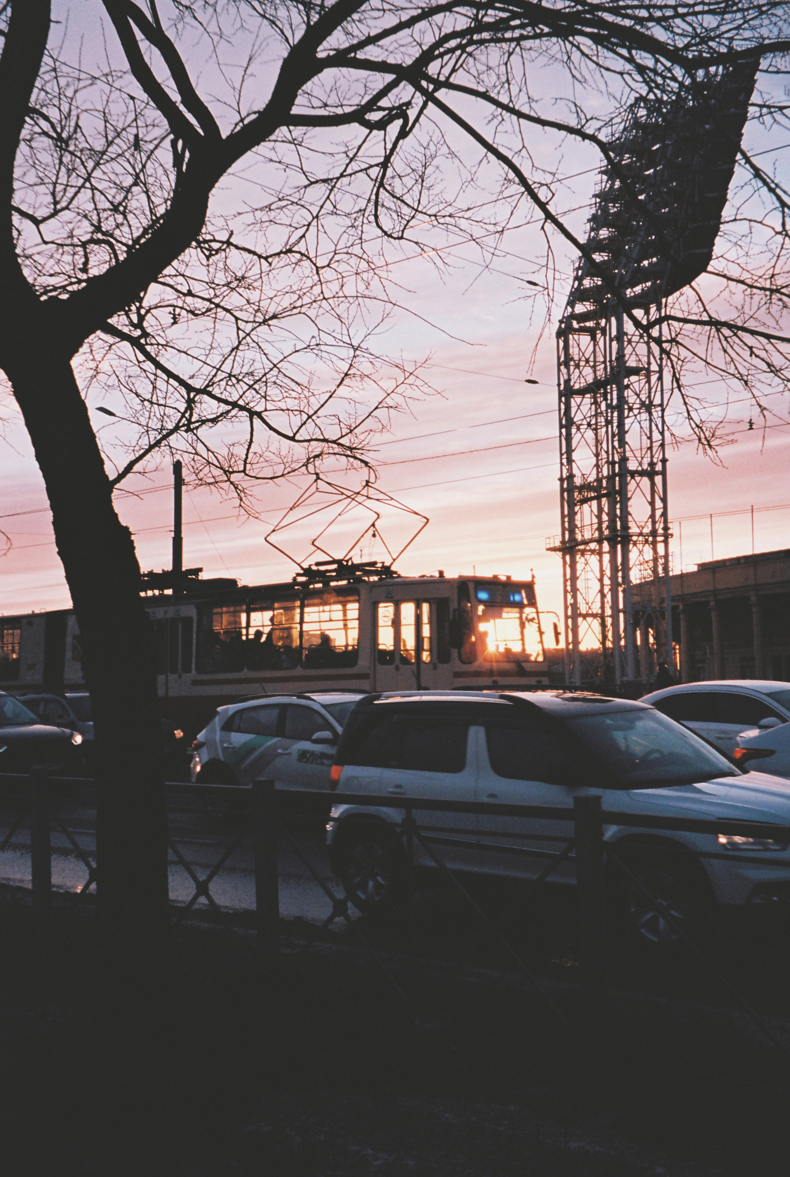Фотографии цветные. Свадебный и семейный пленочный фотограф в Петербурге Истомина Ирина