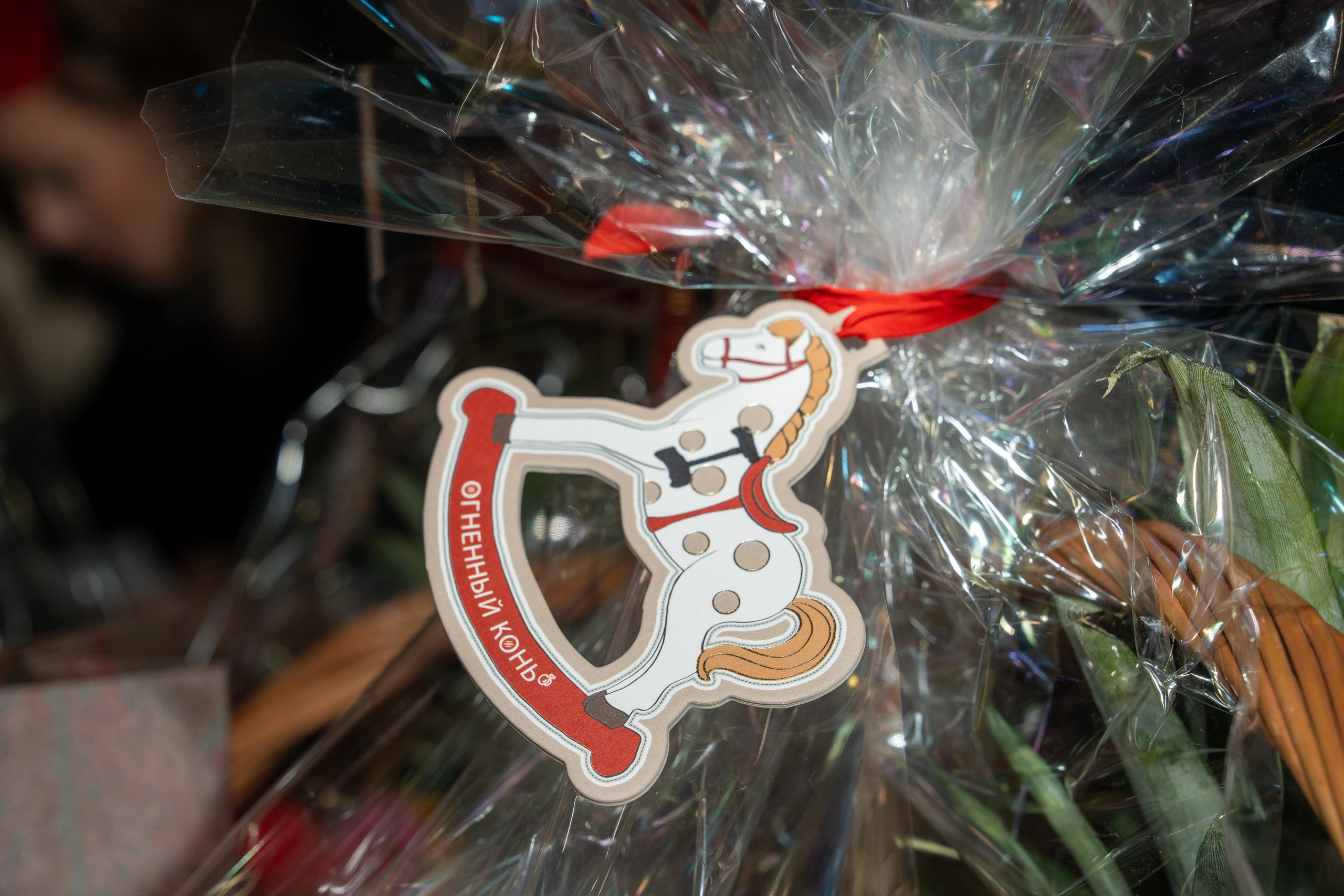 RS Bosco. Репортажный фотограф в Красной Поляне и Сочи Павлюченко Екатерина