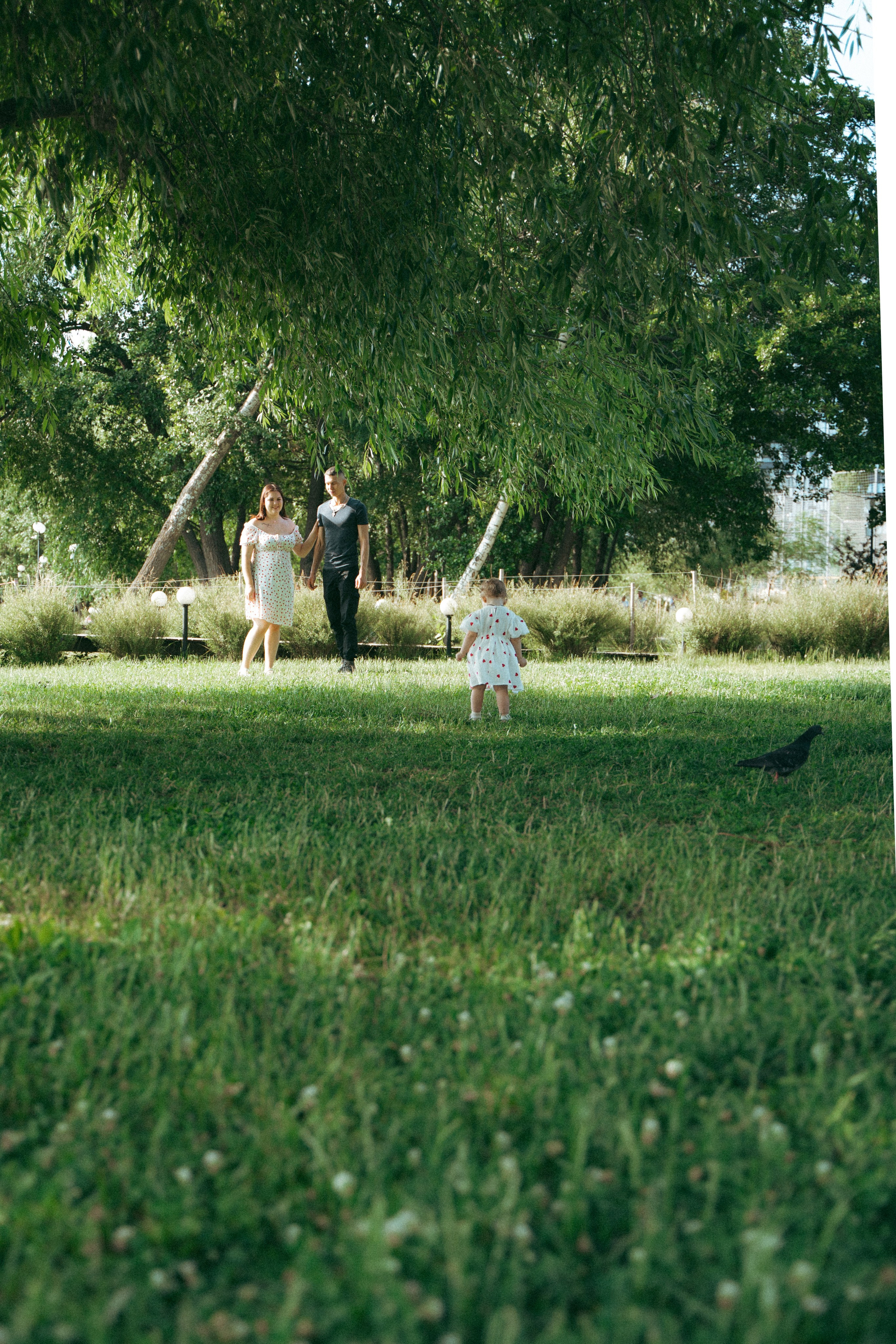 Дельфин парк. Фотограф Мария Зайчик