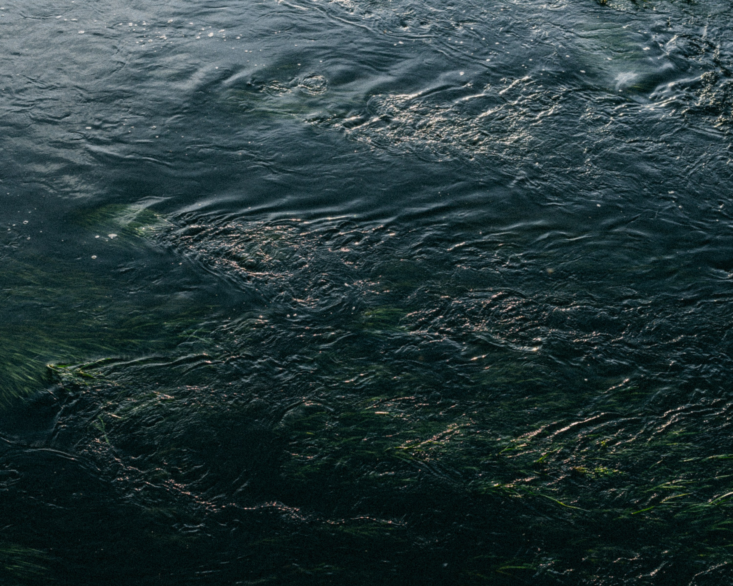 Открытие сезона созерцаний. Репортажный и портретный фотограф во Владимире Сергей Кравцов