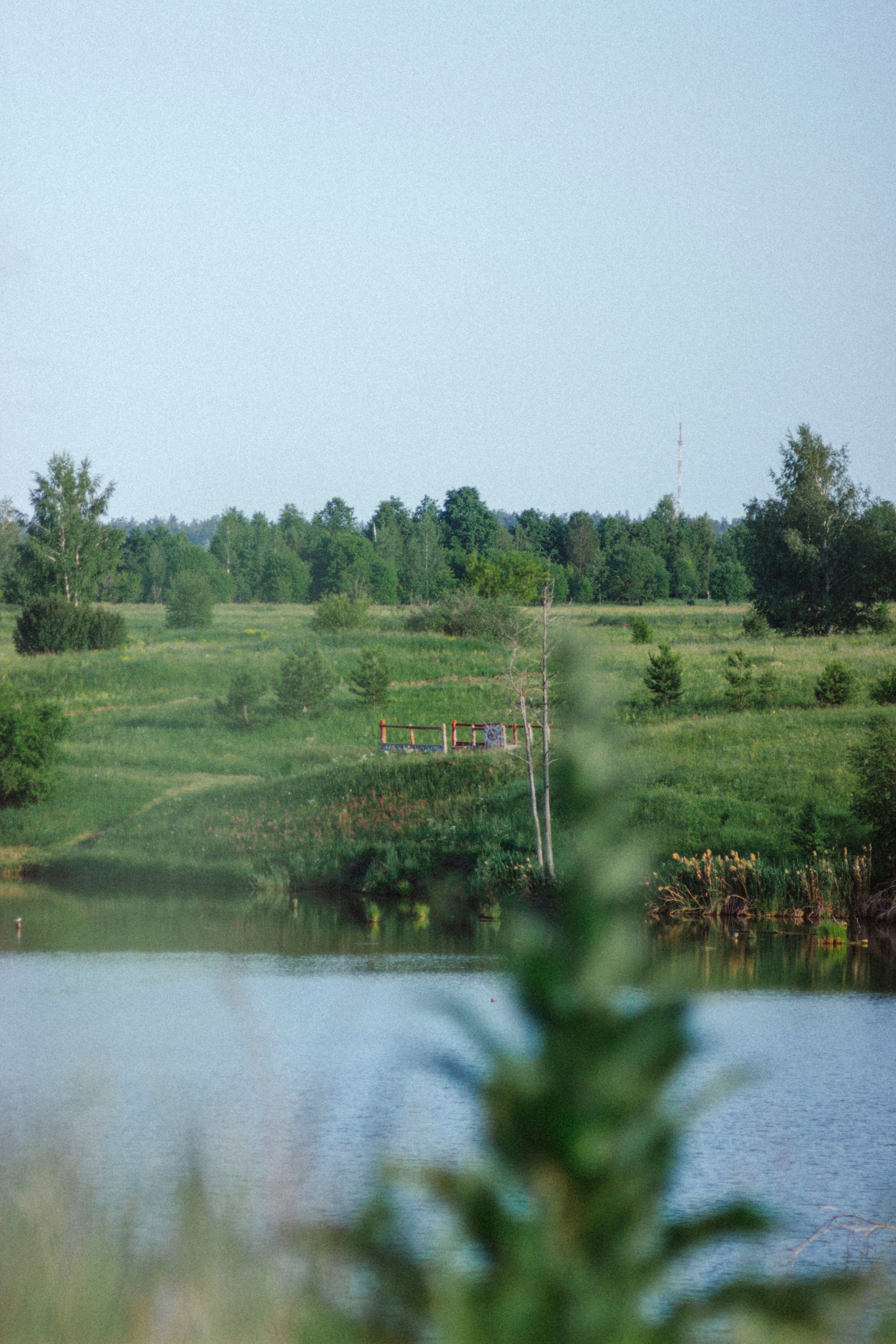 Sweetgirl. Фотограф Димитровград Казань Валерия Владимиркина