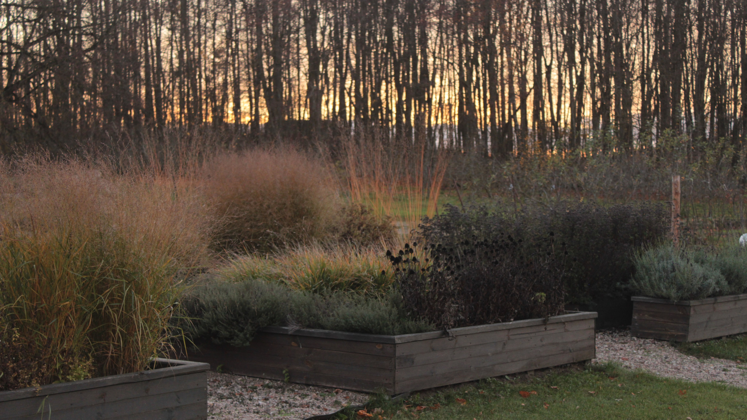 APOTHECARY GARDEN. LA. Ландшафтный дизайн в Минске и Гродно