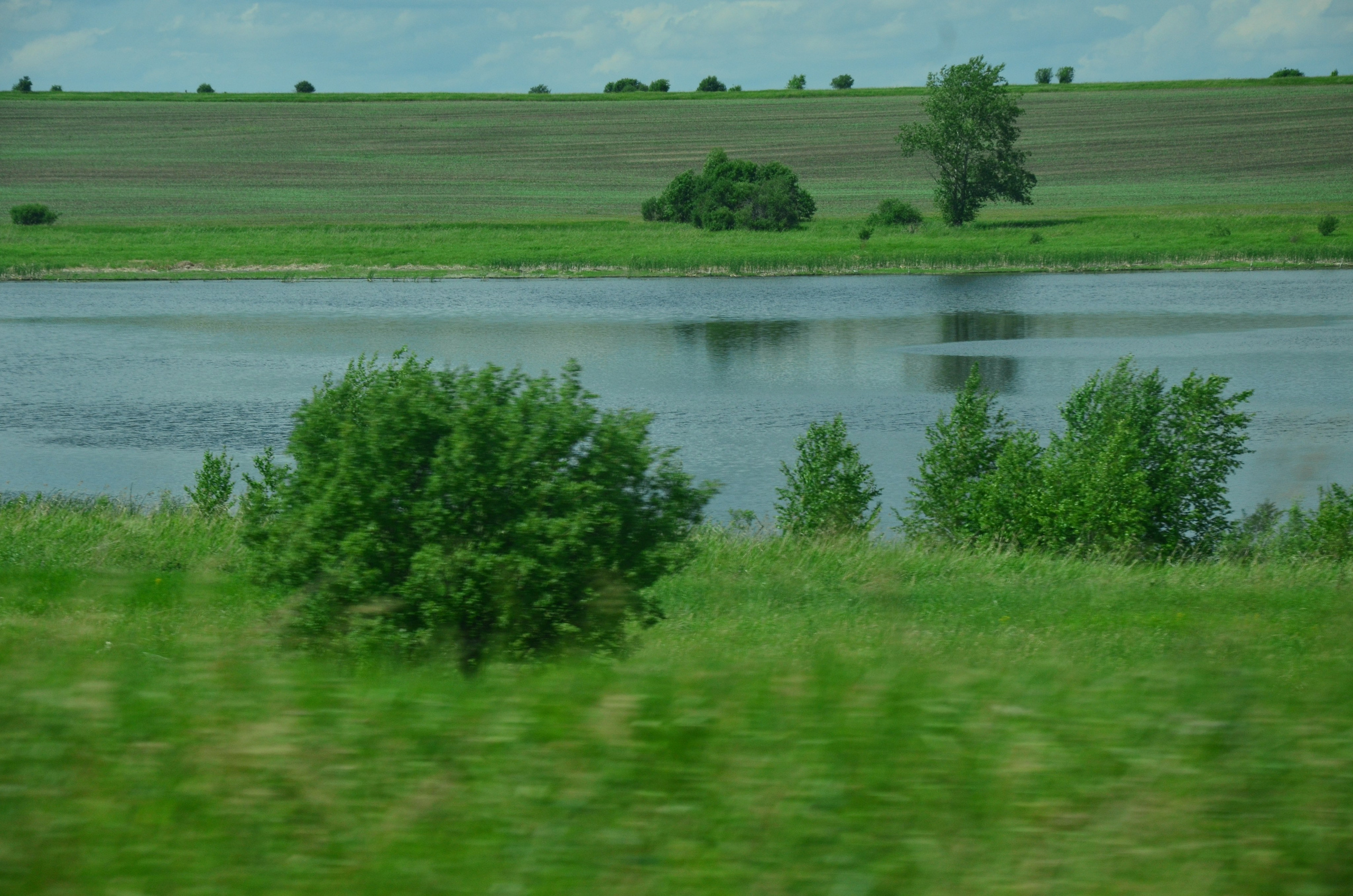 Дары природы. Фотограф viktor viktor