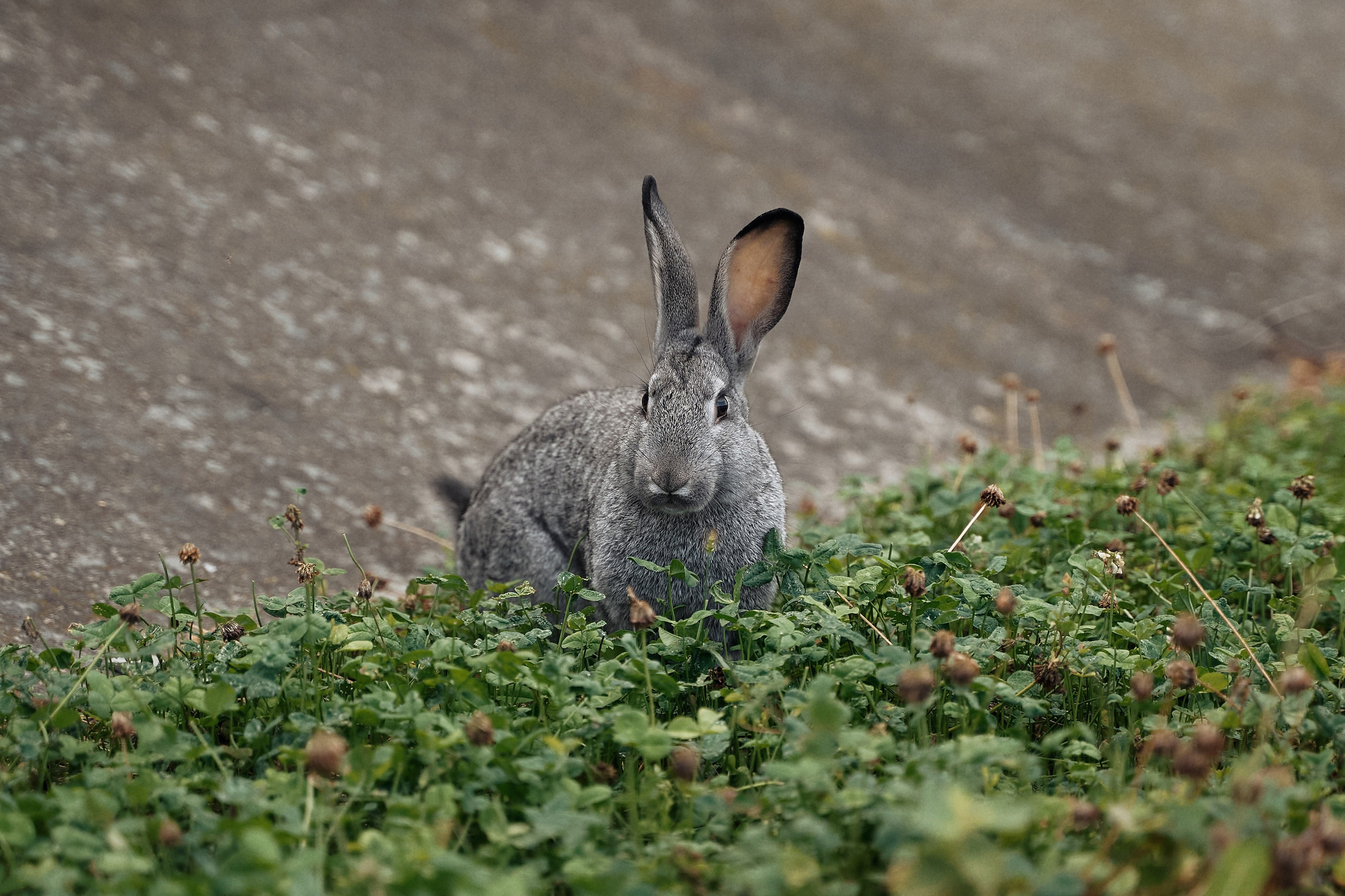 ВЭК Сервис. Свадебная, семейная фото и видео съёмка в Пензе