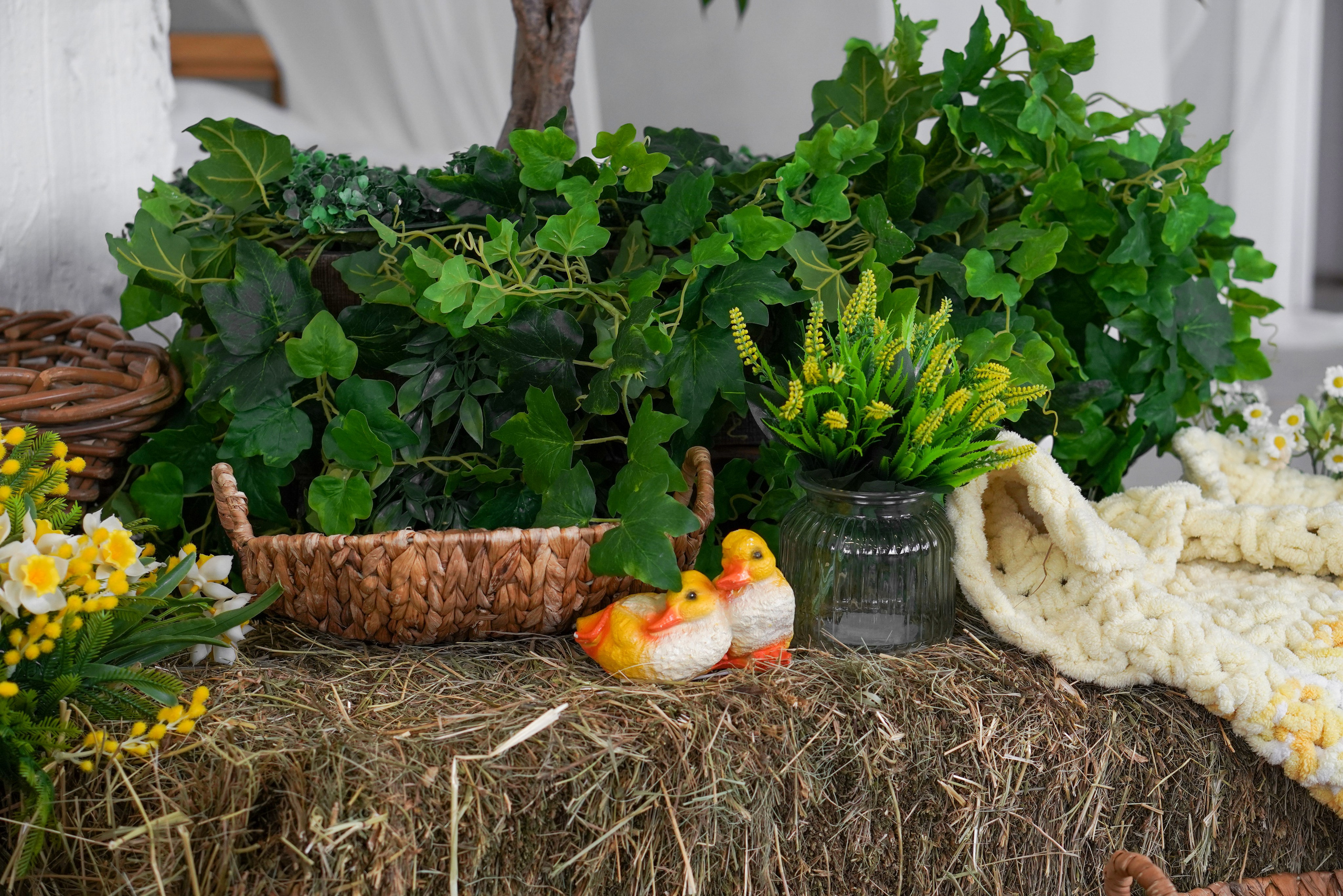 Зал Life фотостудия Импульс. Фотостудия в Саратове. Фотограф в Саратове