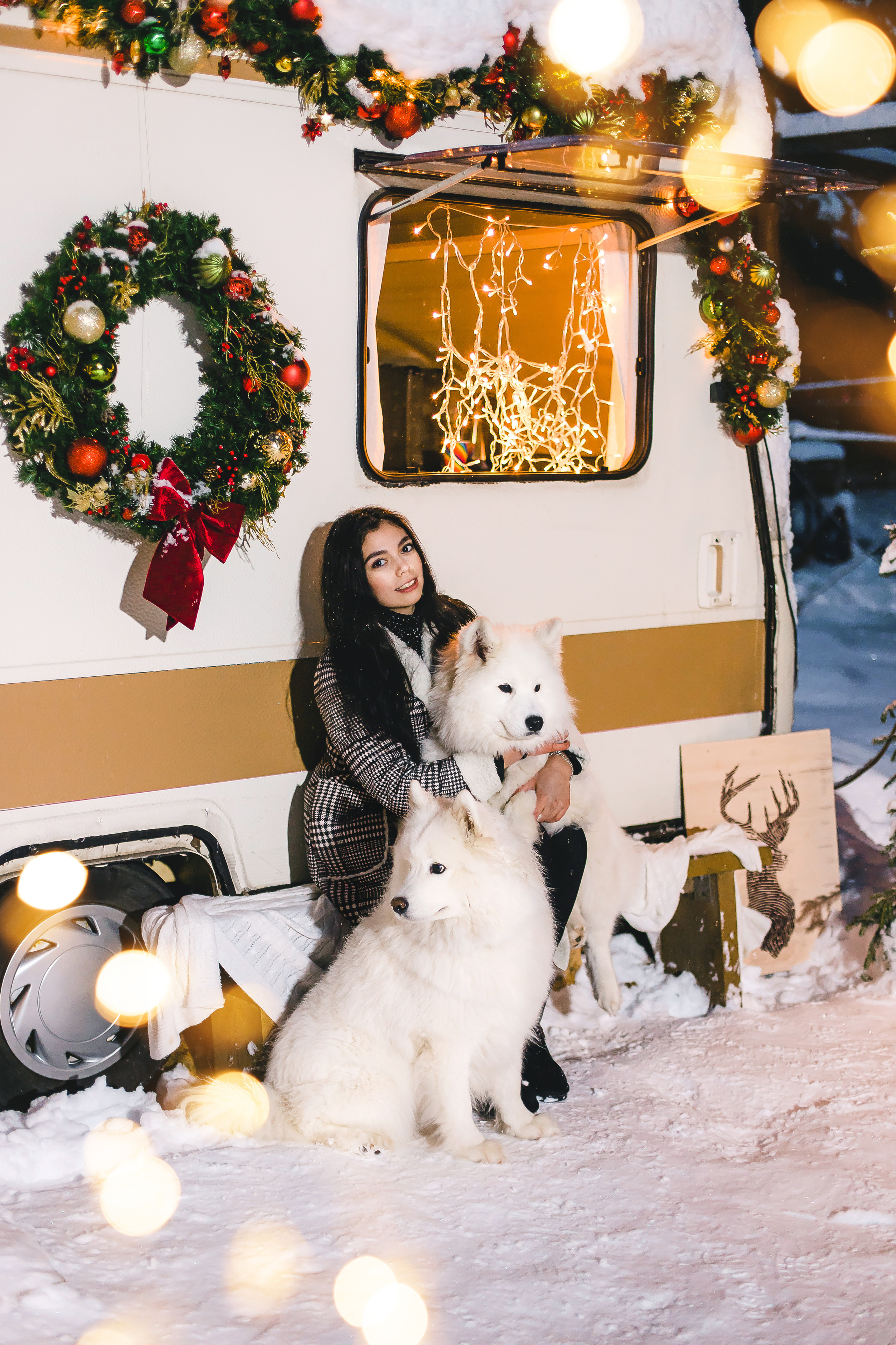 Фотодень с самоедами. Семейный и свадебный фотограф в Чебоксарах и Новочебоксарске Ирина Юрь