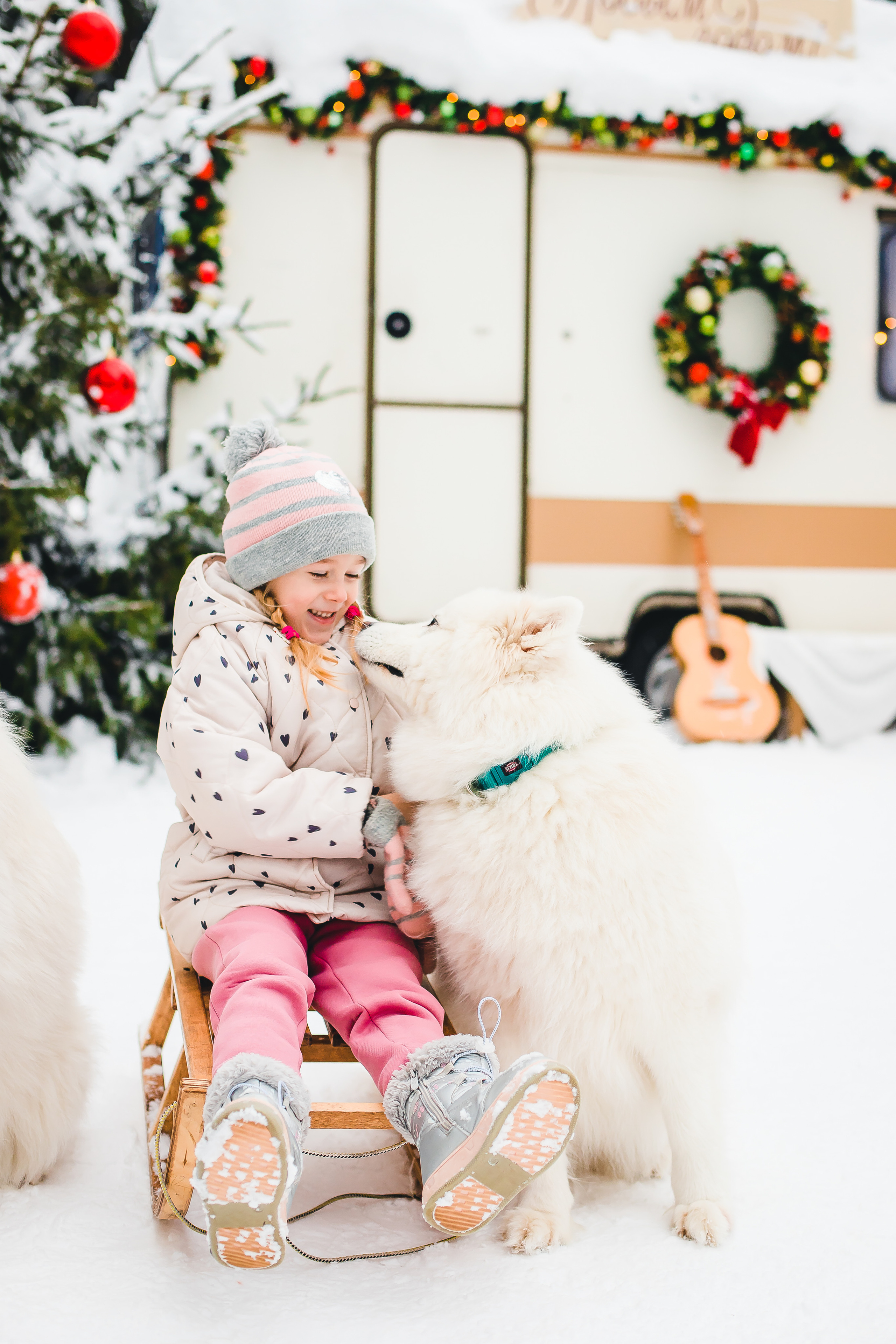 Фотодень с самоедами. Семейный и свадебный фотограф в Чебоксарах и Новочебоксарске Ирина Юрь