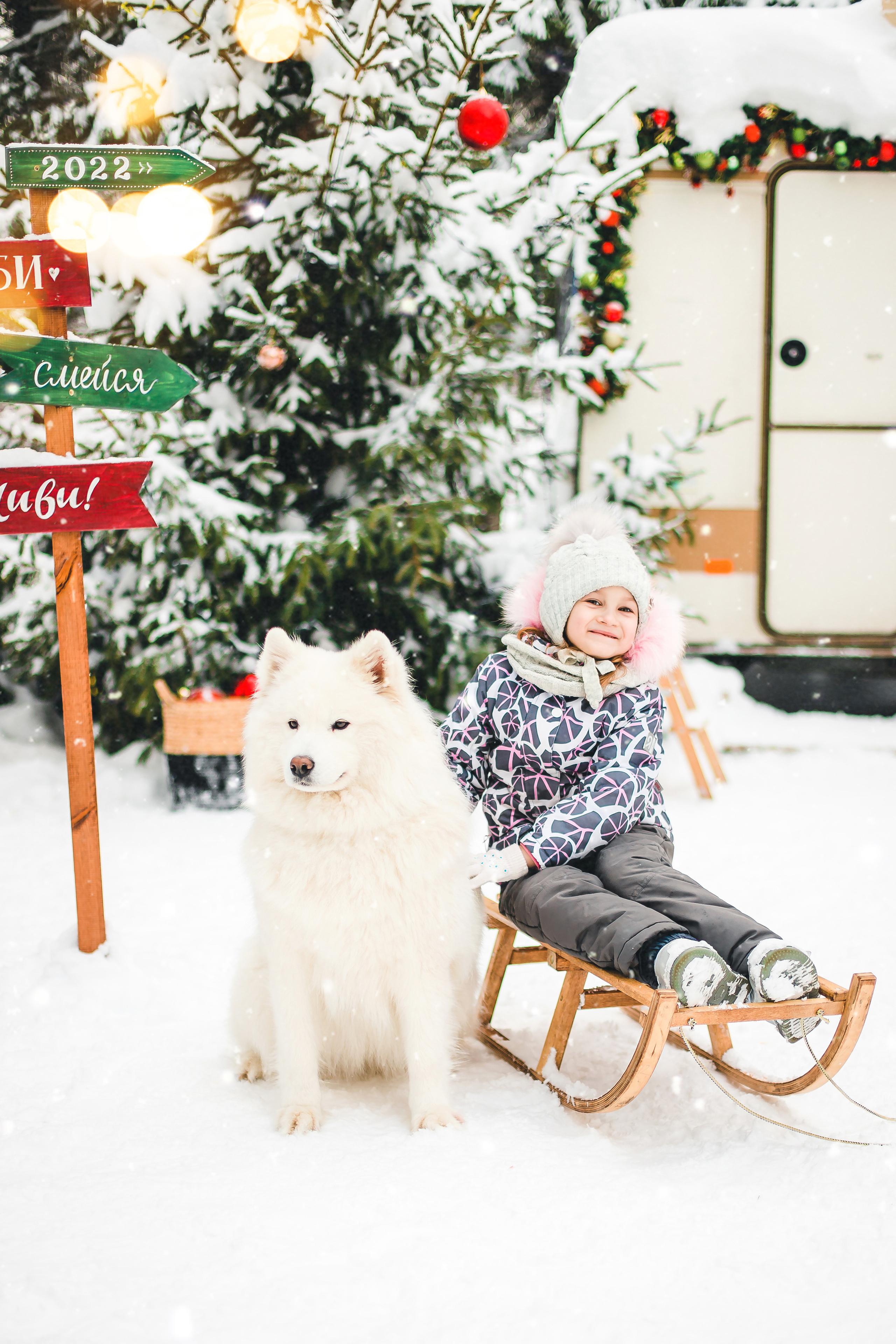 Фотодень с самоедами. Семейный и свадебный фотограф в Чебоксарах и Новочебоксарске Ирина Юрь