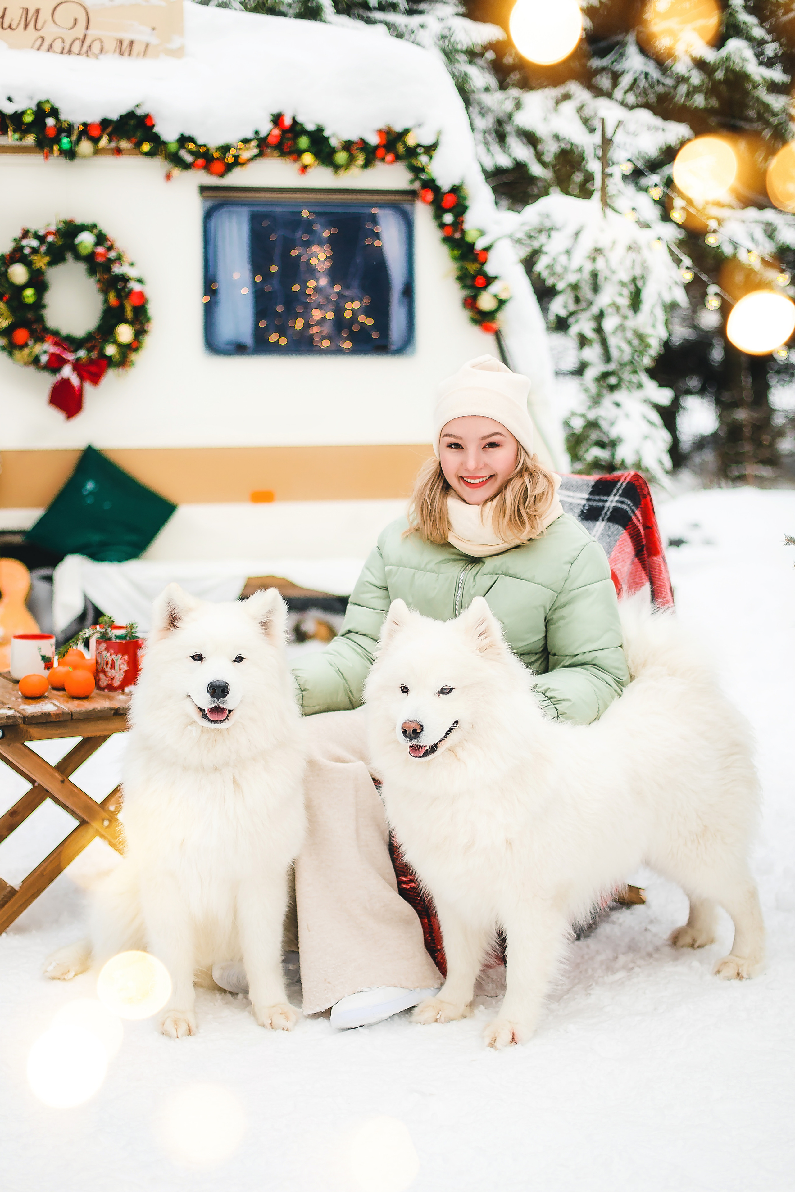 Фотодень с самоедами. Семейный и свадебный фотограф в Чебоксарах и Новочебоксарске Ирина Юрь