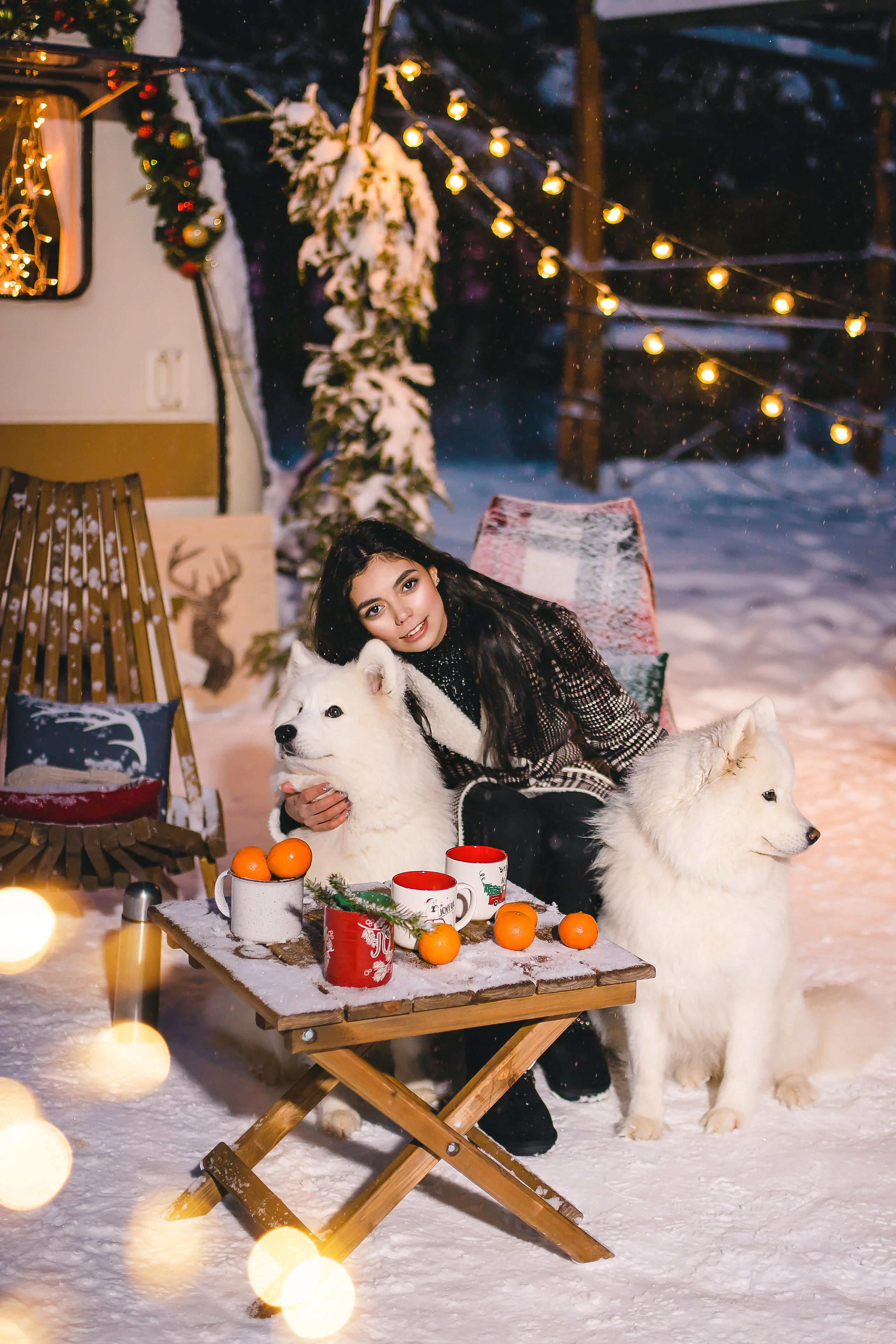 Фотодень с самоедами. Семейный и свадебный фотограф в Чебоксарах и Новочебоксарске Ирина Юрь