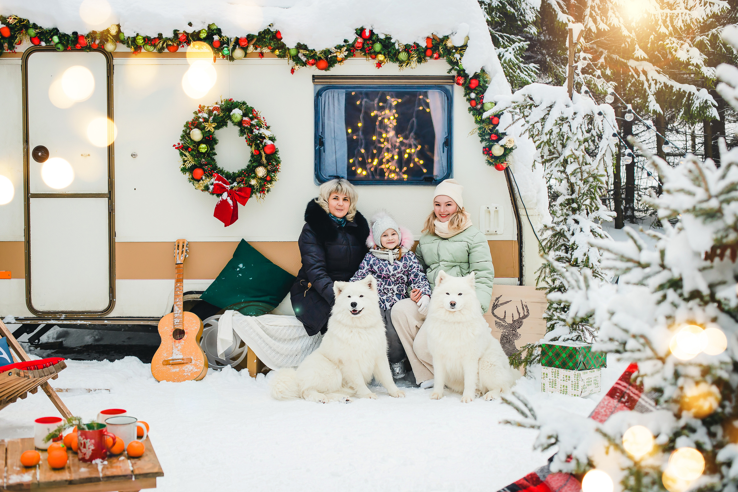 Фотодень с самоедами. Семейный и свадебный фотограф в Чебоксарах и Новочебоксарске Ирина Юрь