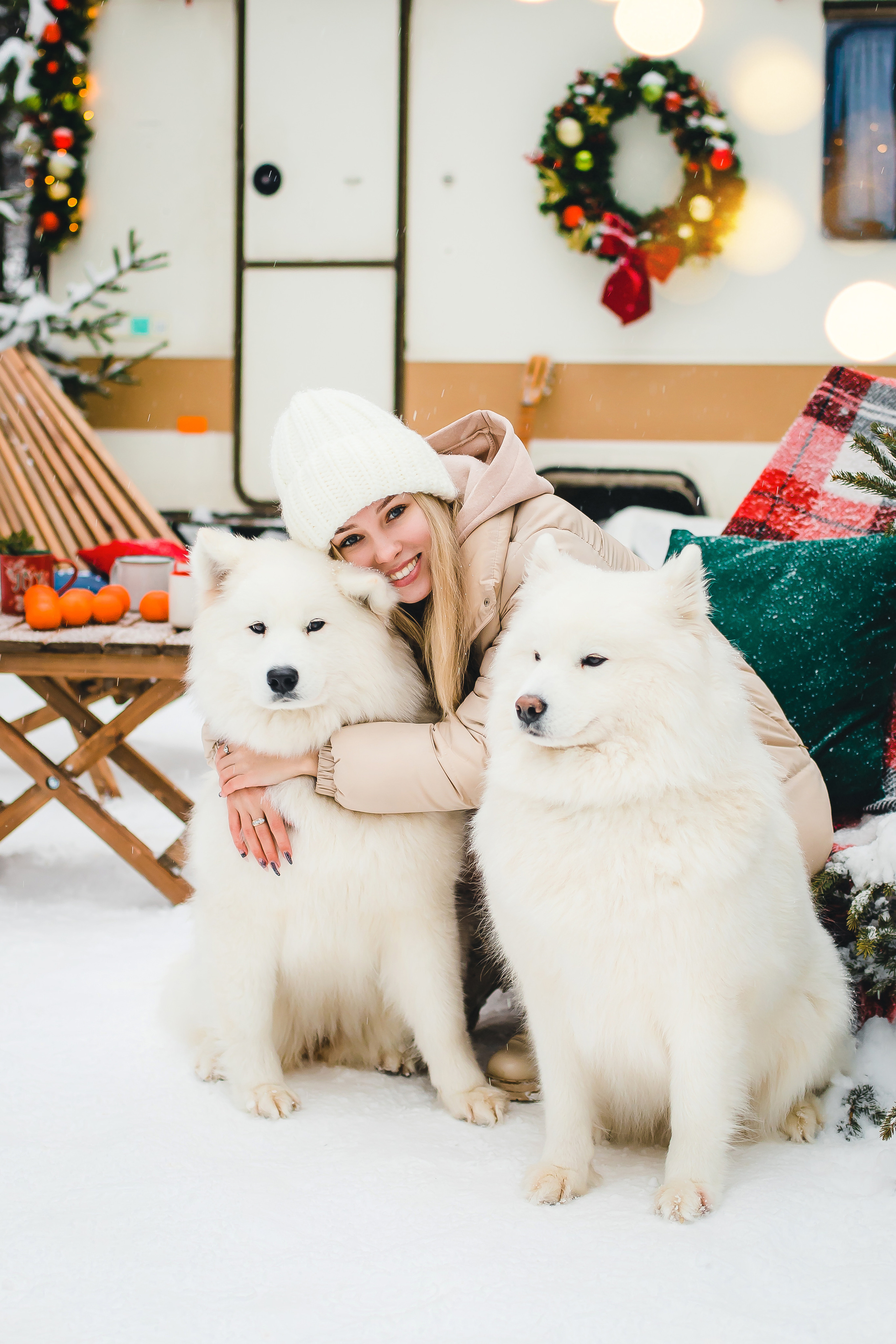 Фотодень с самоедами. Семейный и свадебный фотограф в Чебоксарах и Новочебоксарске Ирина Юрь