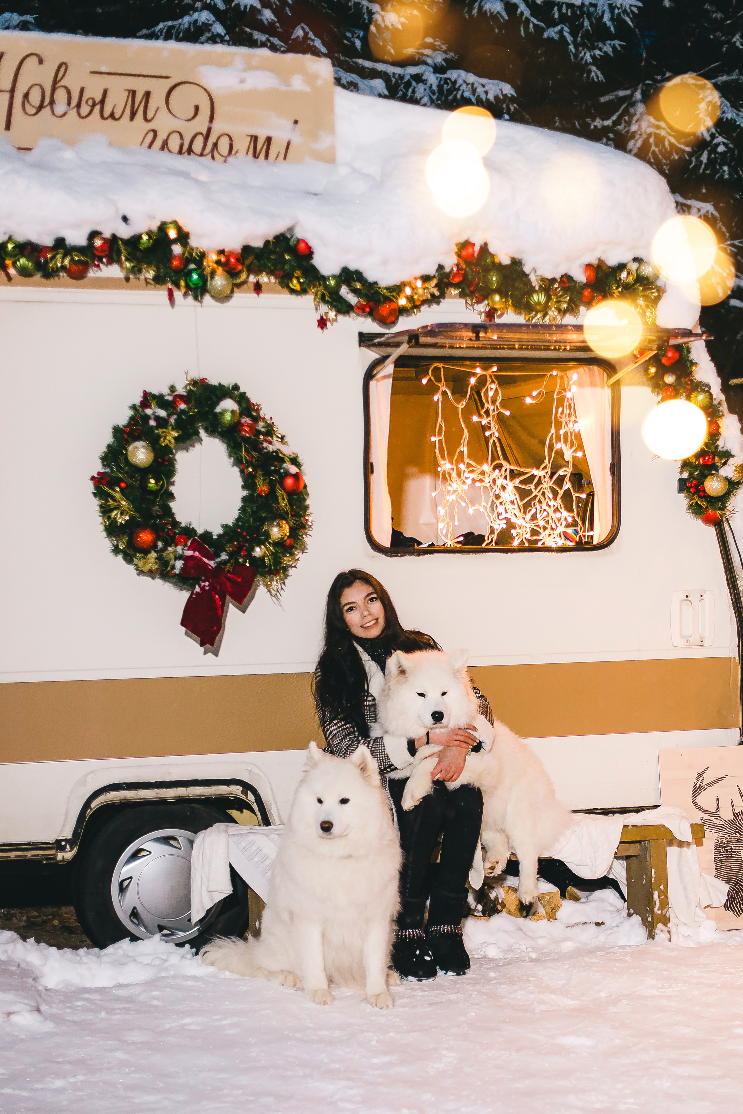 Фотодень с самоедами. Семейный и свадебный фотограф в Чебоксарах и Новочебоксарске Ирина Юрь