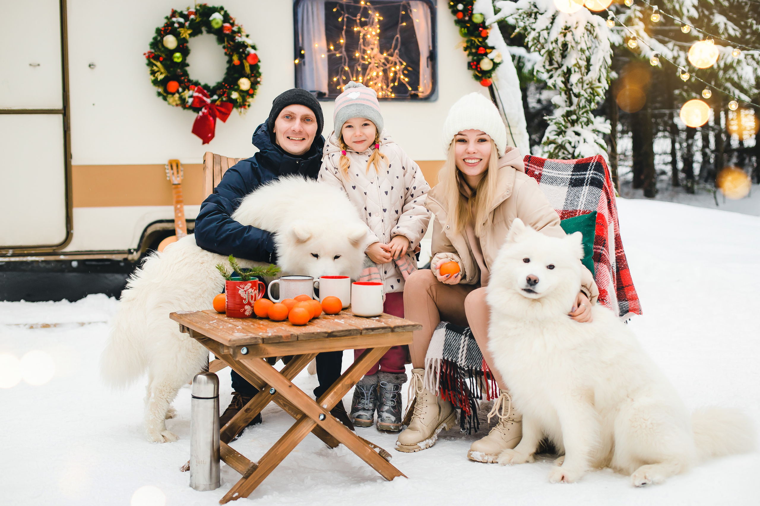 Фотодень с самоедами. Семейный и свадебный фотограф в Чебоксарах и Новочебоксарске Ирина Юрь