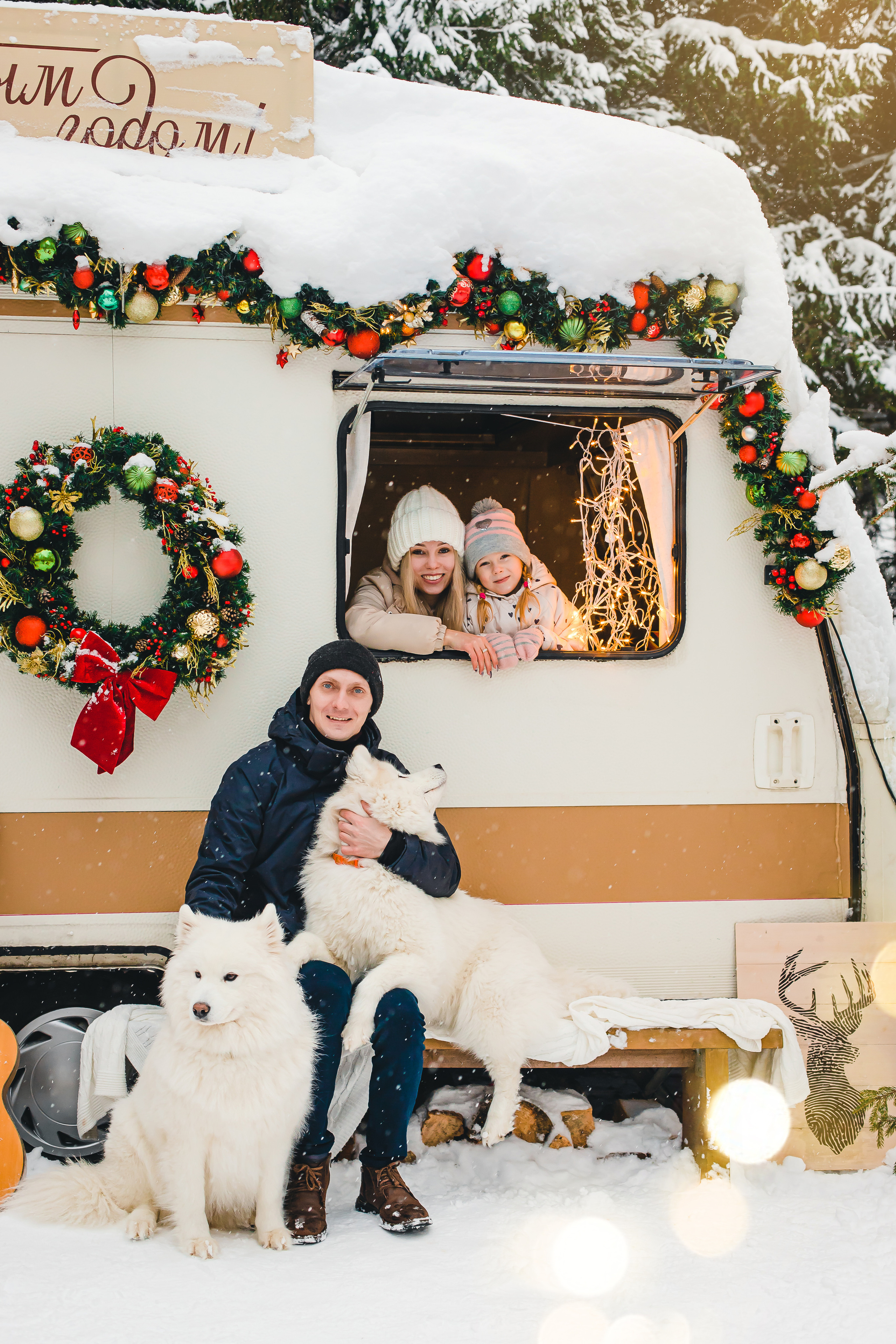 Фотодень с самоедами. Семейный и свадебный фотограф в Чебоксарах и Новочебоксарске Ирина Юрь