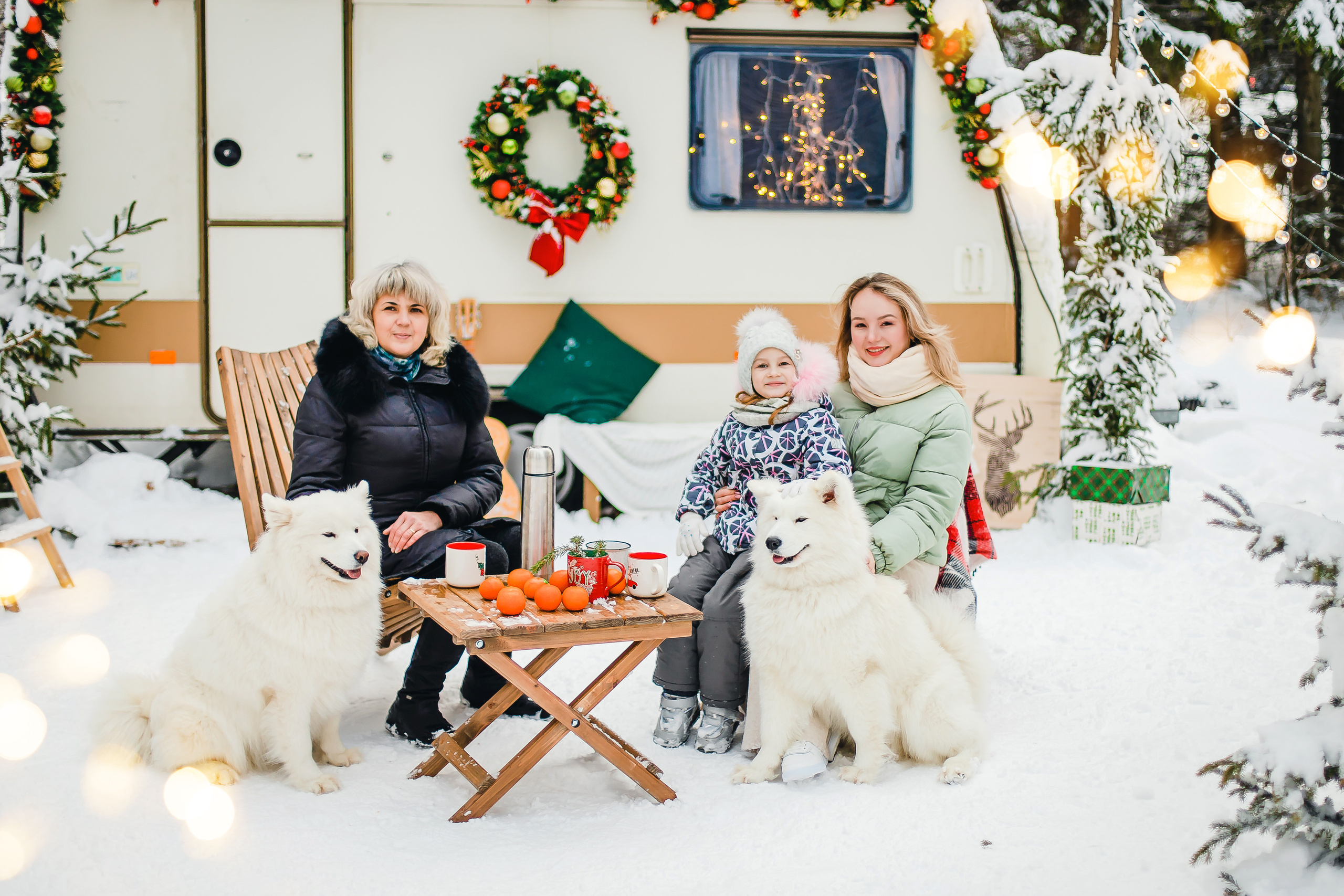 Фотодень с самоедами. Семейный и свадебный фотограф в Чебоксарах и Новочебоксарске Ирина Юрь