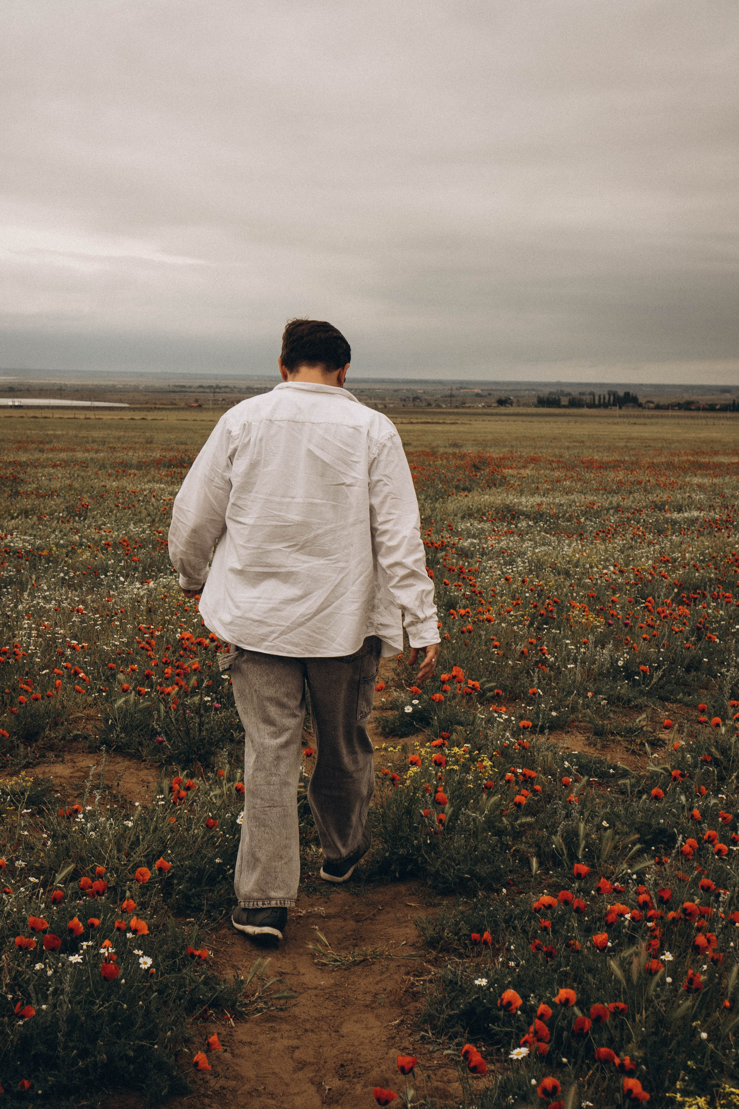 Маки. Профессиональный фотограф, Санкт-Петербург — Виктория Богомолова