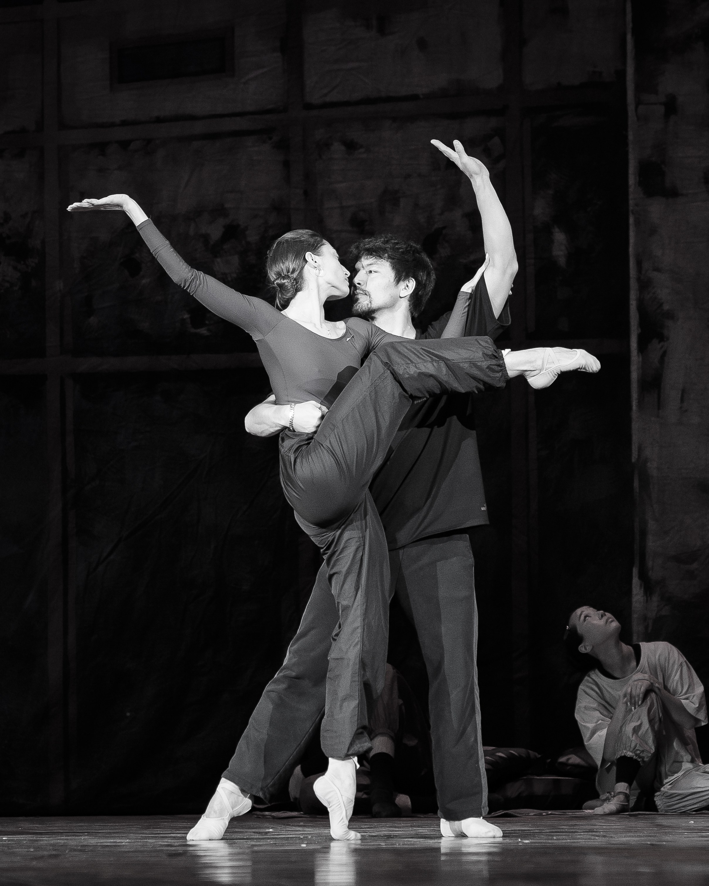 Автографы и имиджи Кремлёвский Дворец — Проект Андриса Лиепа