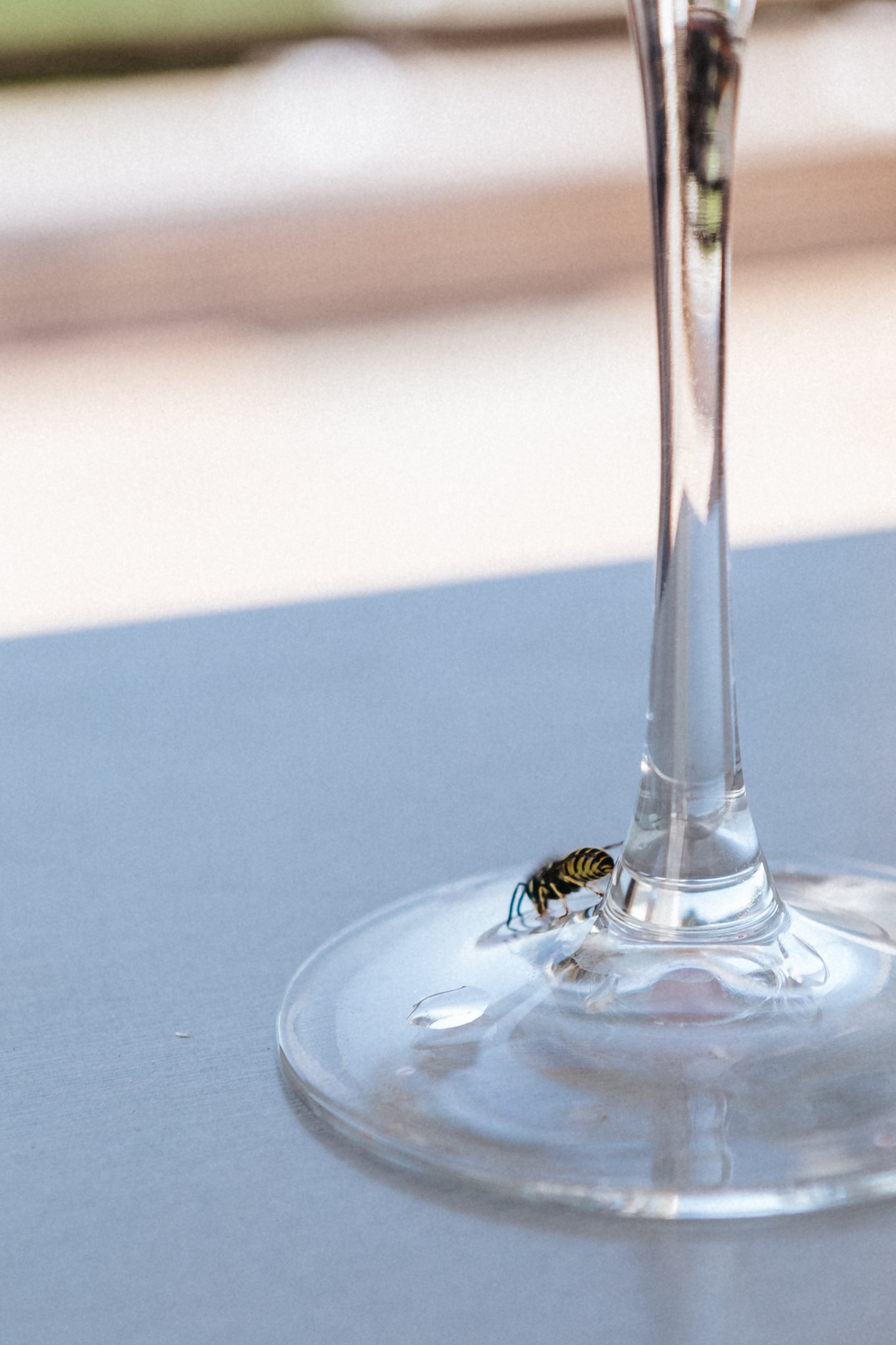 Лиза и Сережа. Роспись и тусовка в коттедже. Свадебный и портретный фотограф в Москве Анастасия Масюк