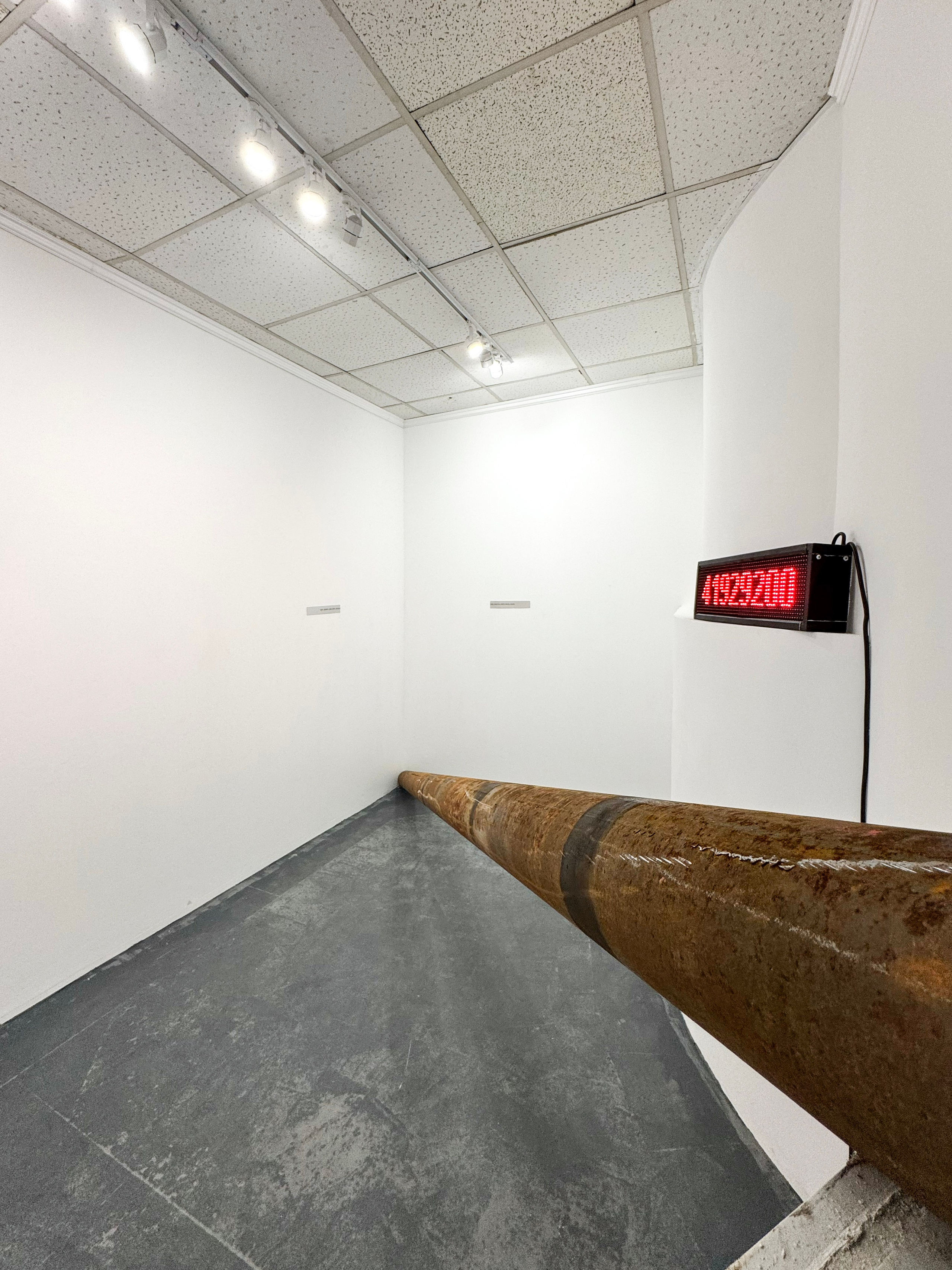 «застревание», выставка Ильи Михеева, 23.08-14.09, пространство пробел, Ростов-на-Дону. Лера Круглова