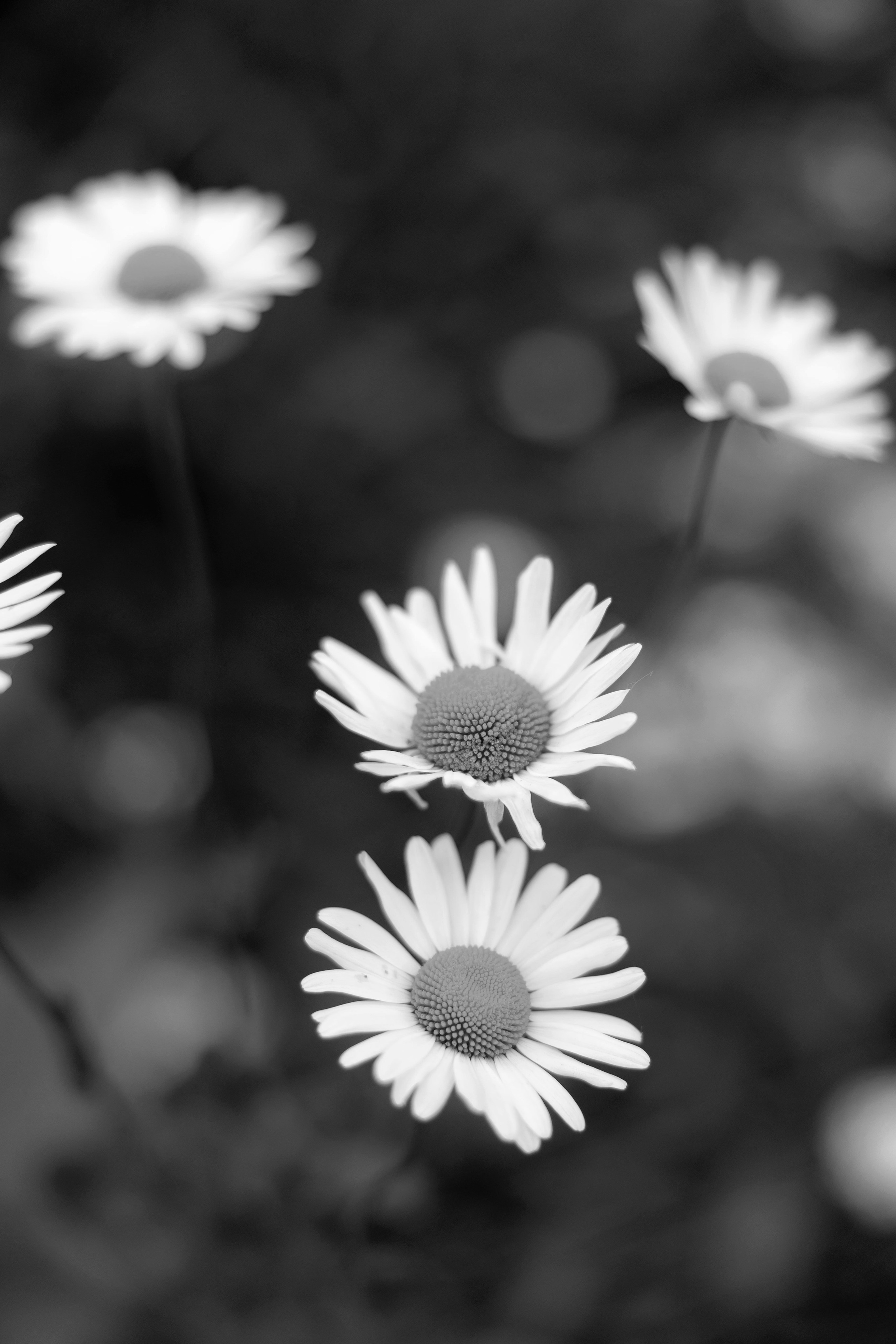 Ирина & Евгений. Yura Rush Свадебный фотограф Тюмень