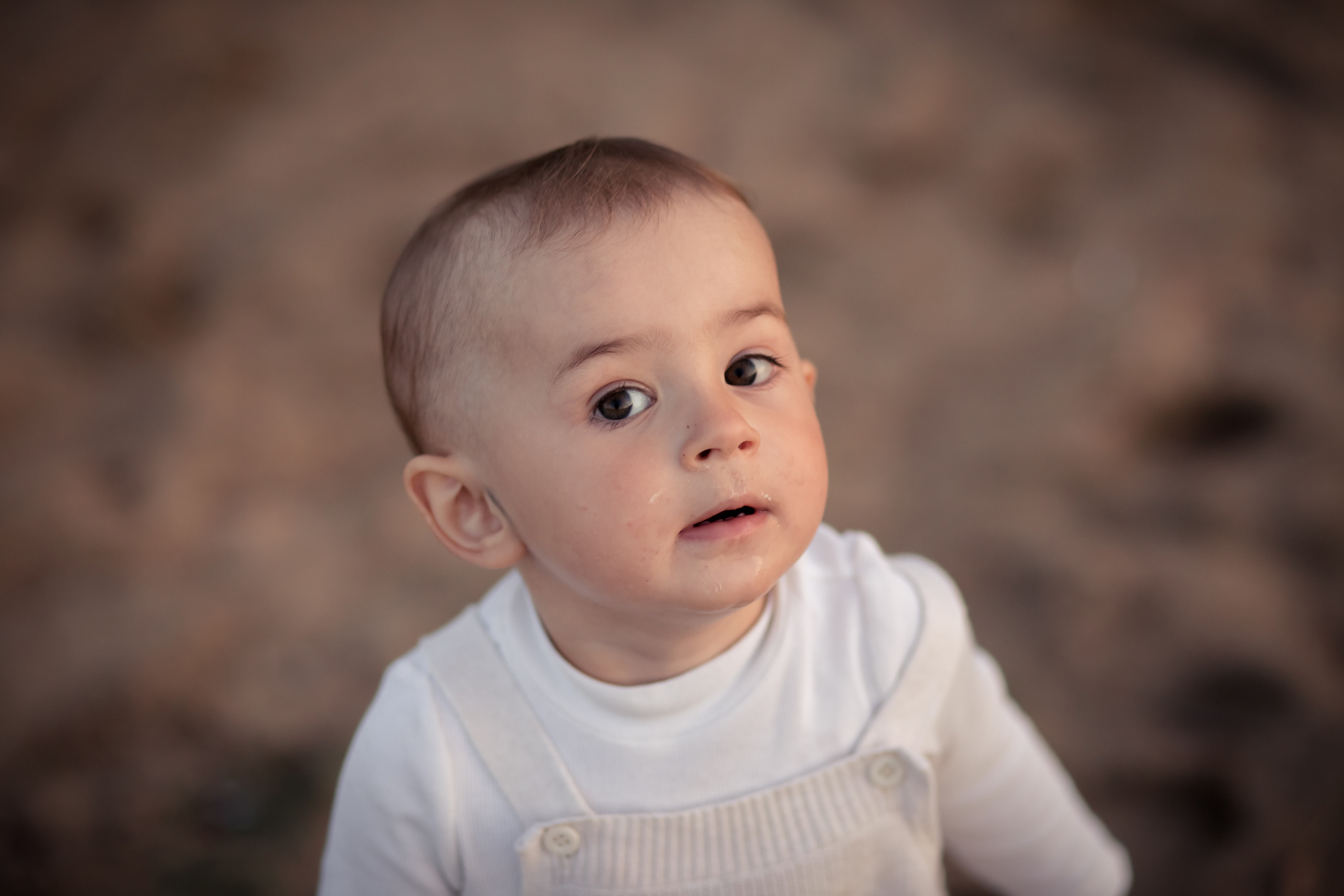 Семья Бендик