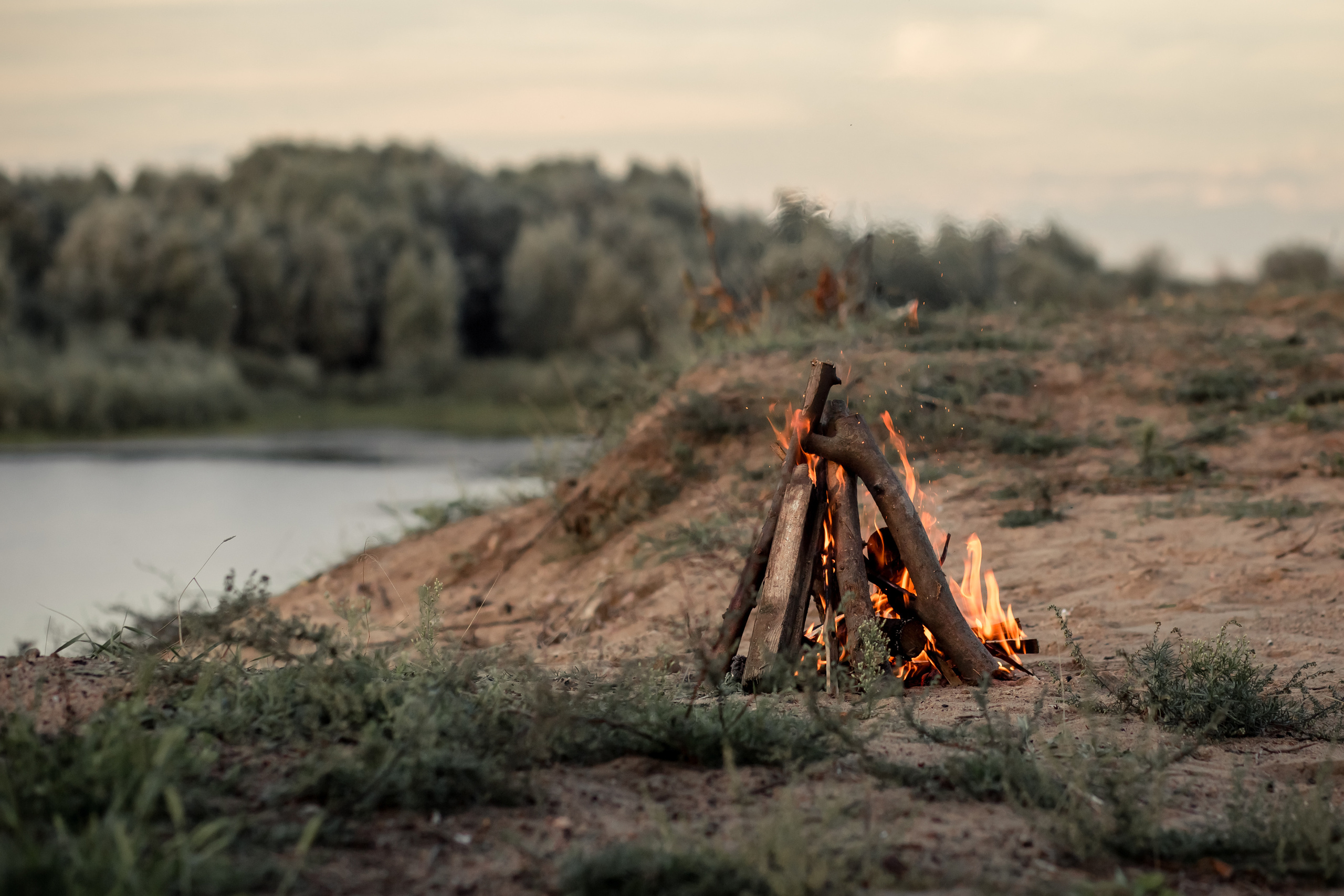 Семья Бендик