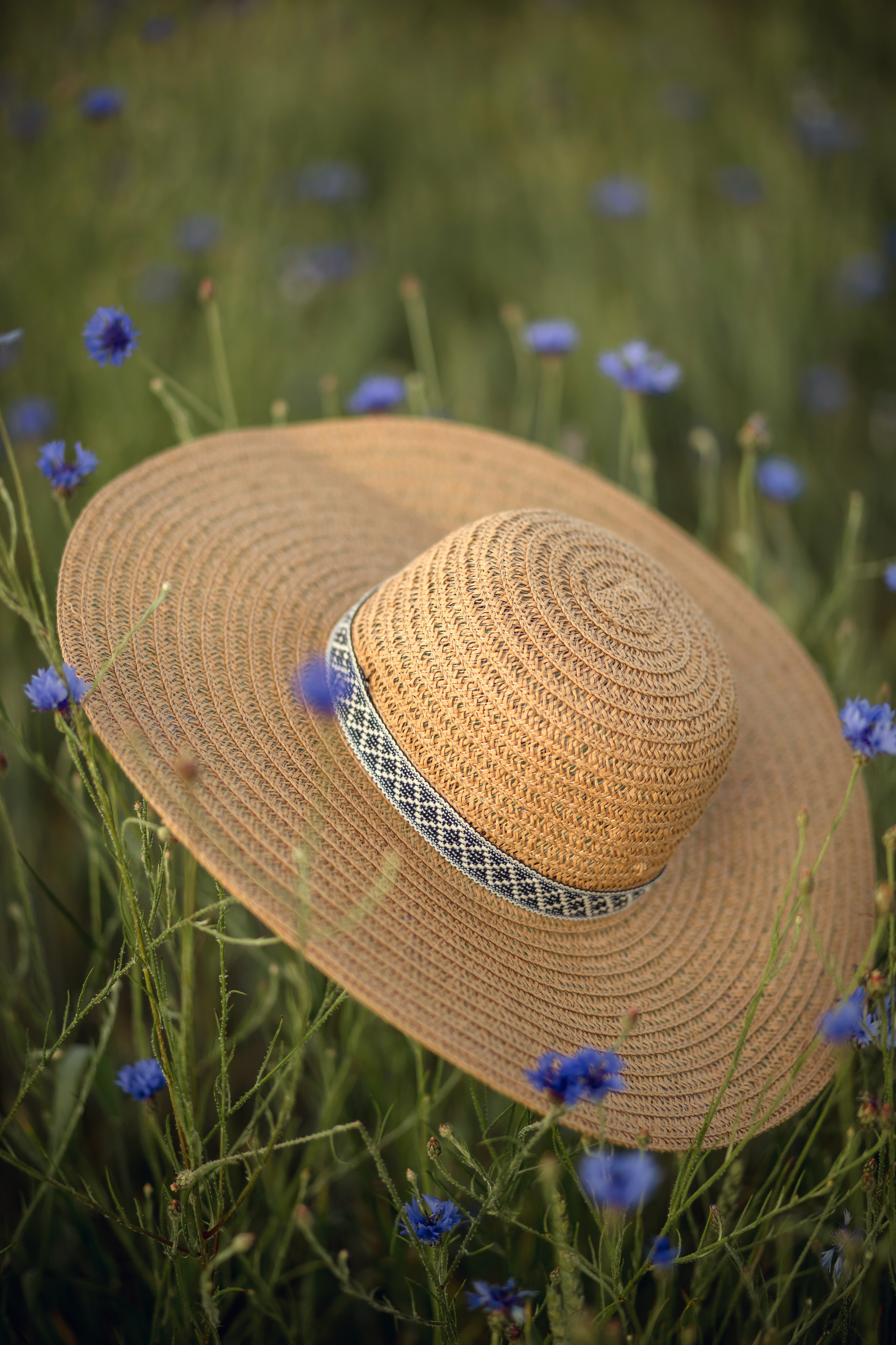 Лера в васильках