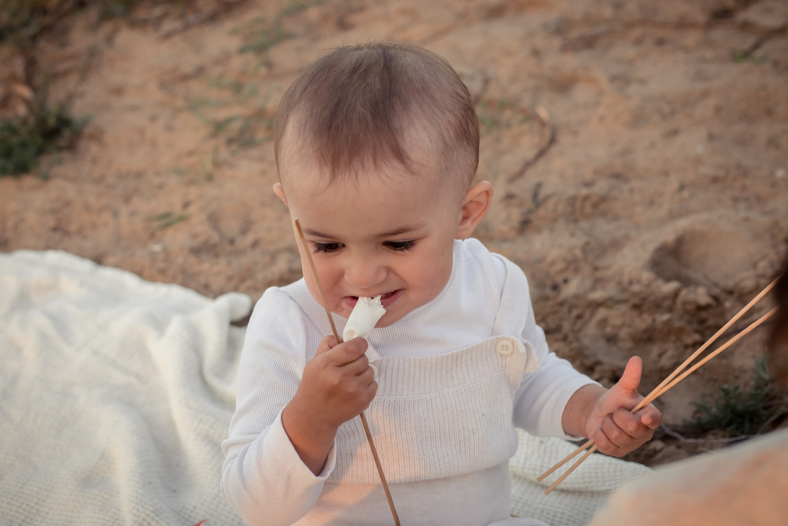 Семья Бендик