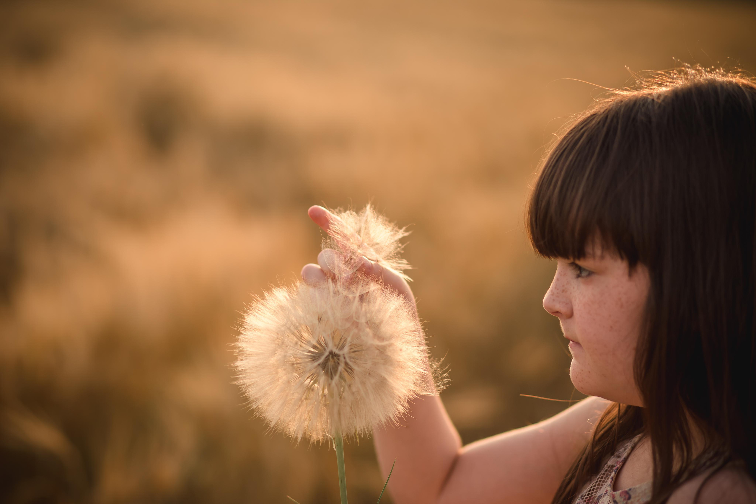 Аринка и одуван