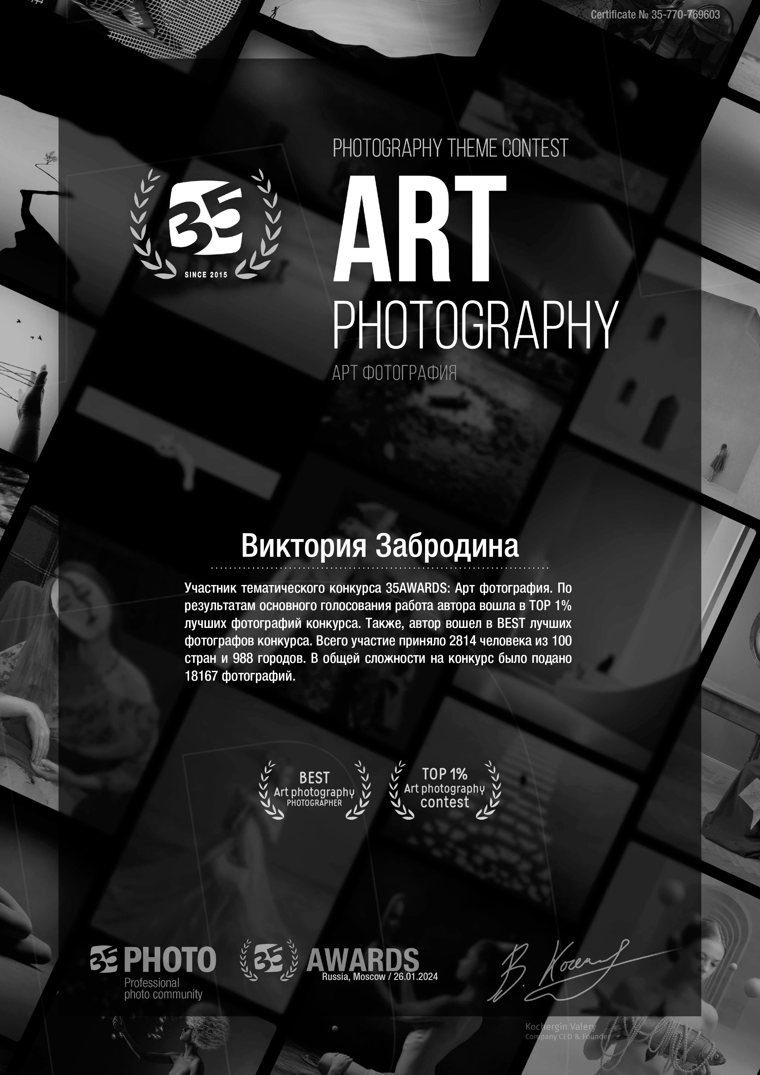 35awards. Арт-фотограф Виктория Забродина